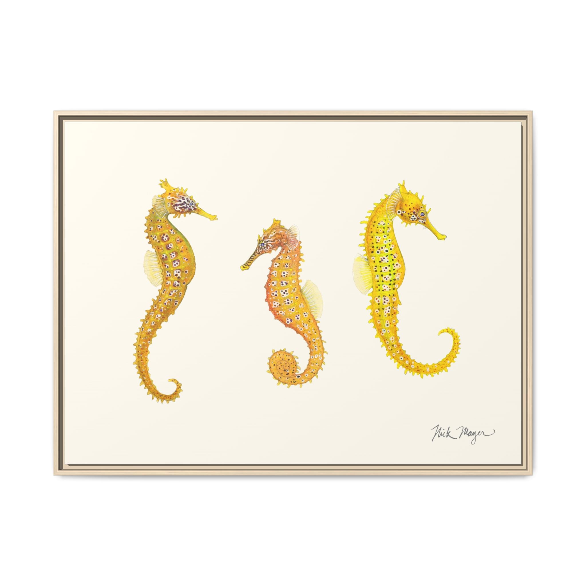 Giant Seahorse Trio Framed Canvas Print Printify