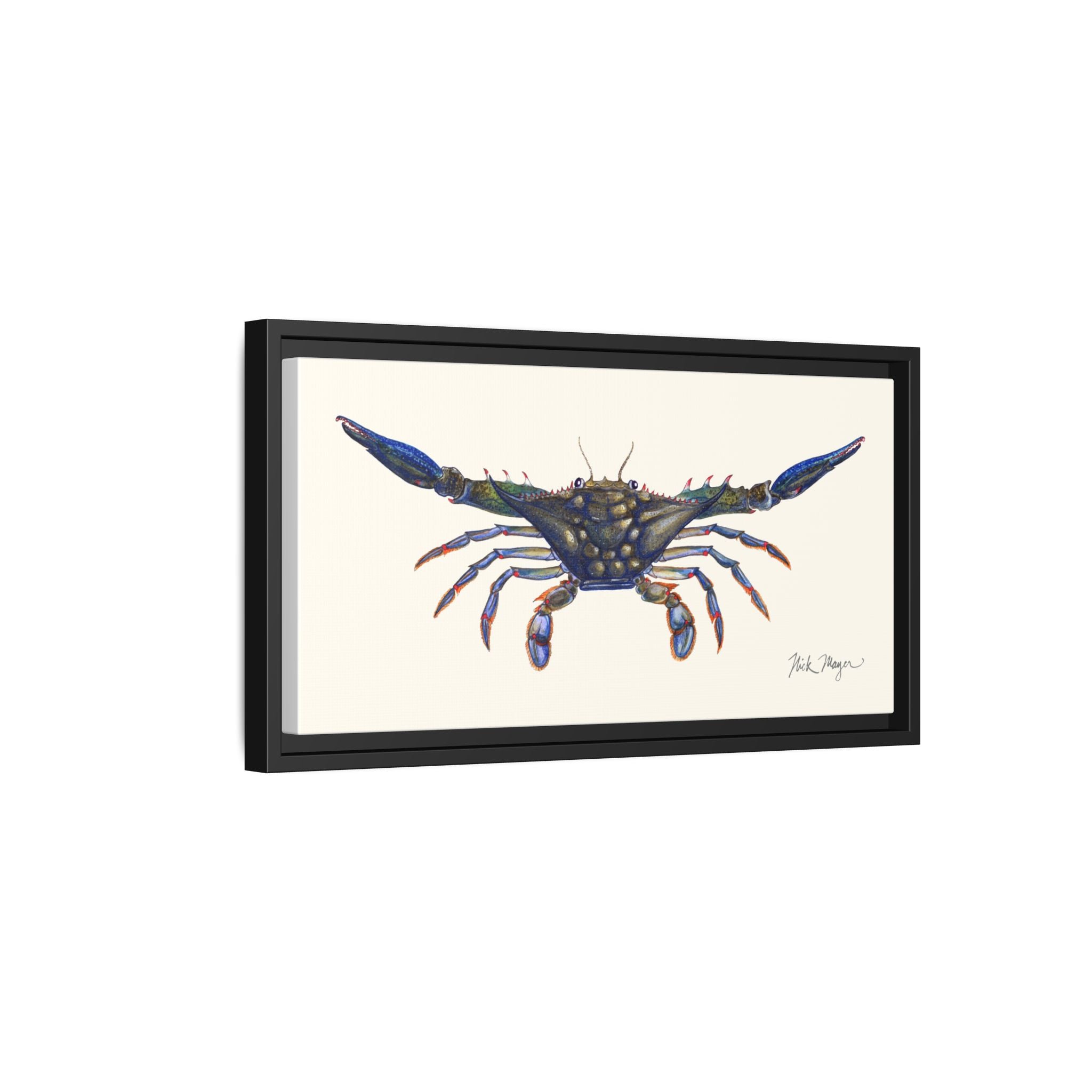 Blue Crab, Claws Out Framed Canvas Print Printify