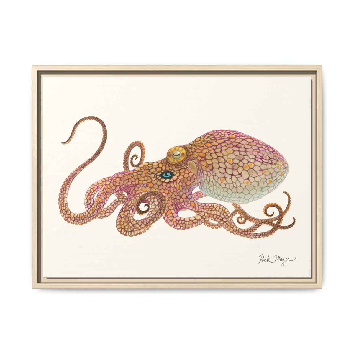 Two Spot Octopus Framed Canvas Print Printify