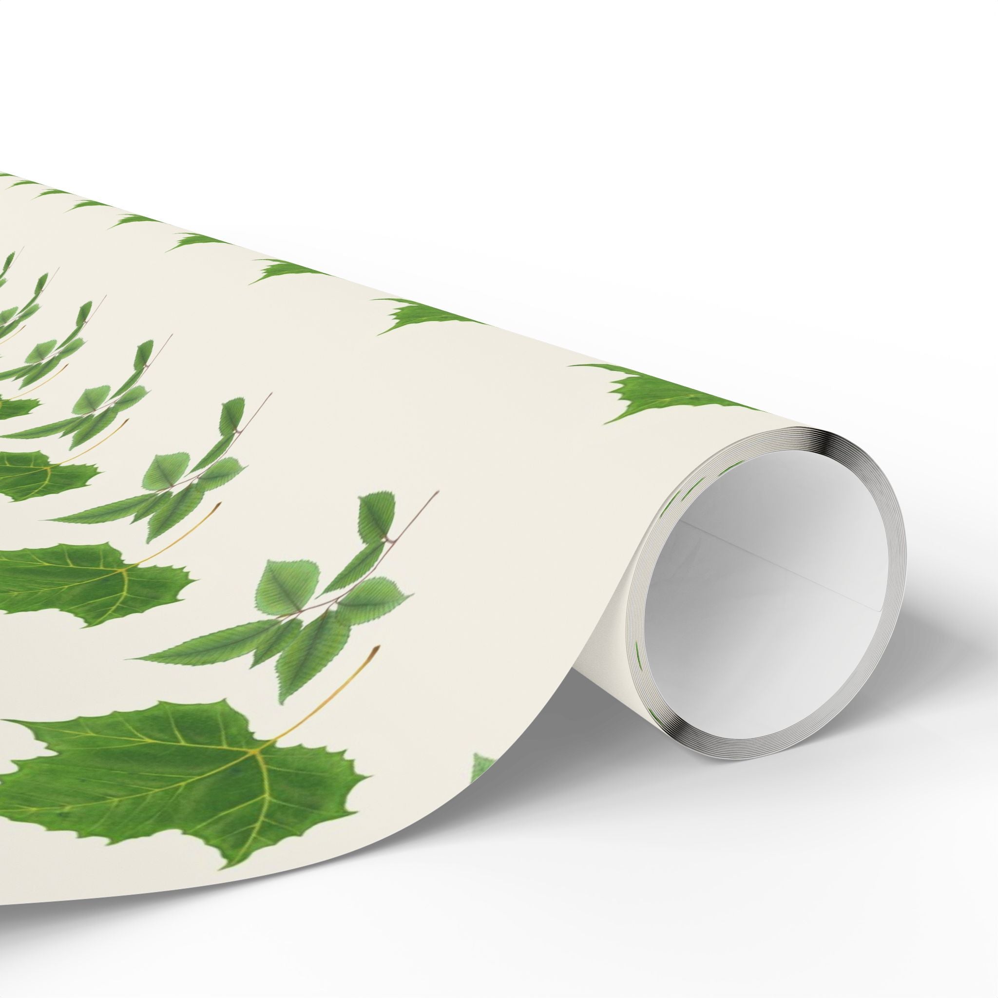 Sycamore and Beech Leaves Gift Wrapping Paper