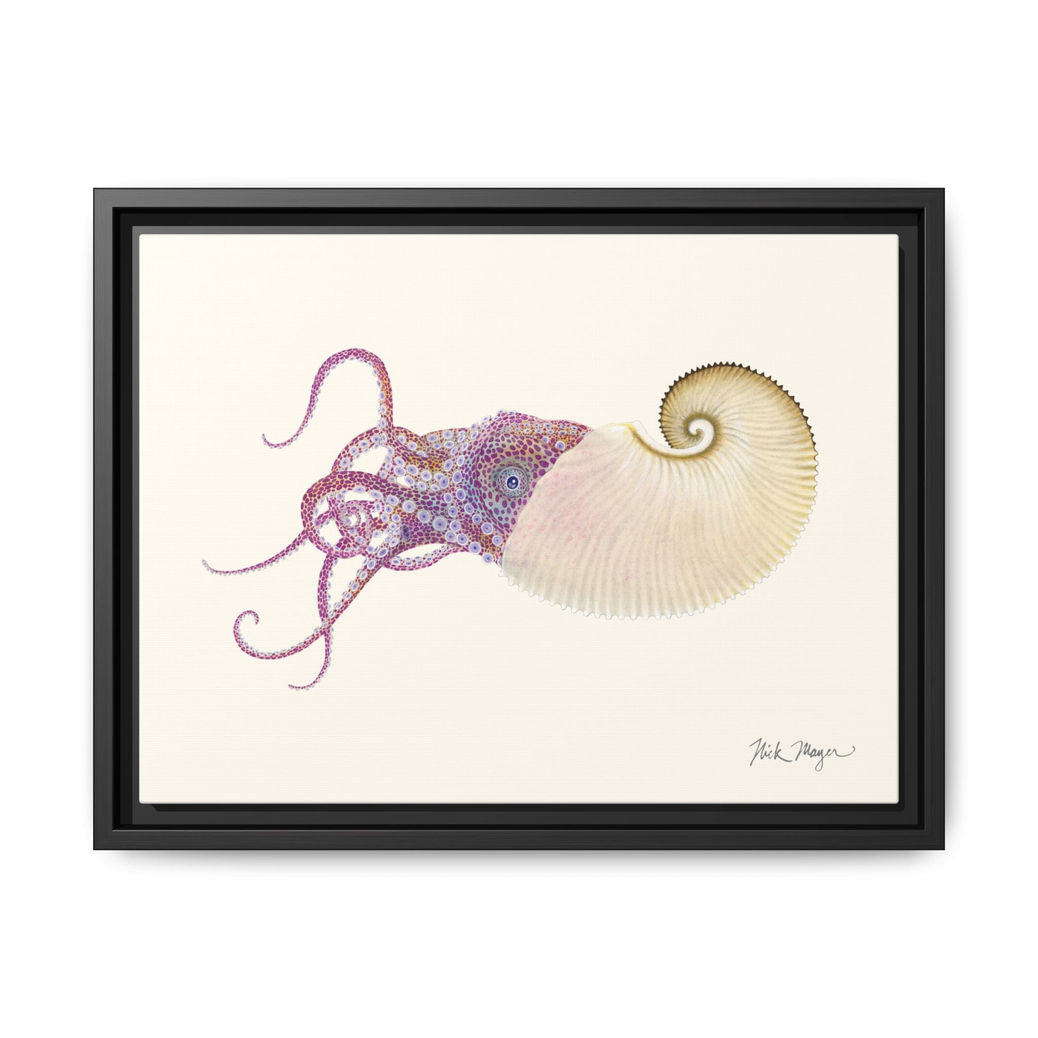 Paper Nautilus Framed Canvas Print Printify