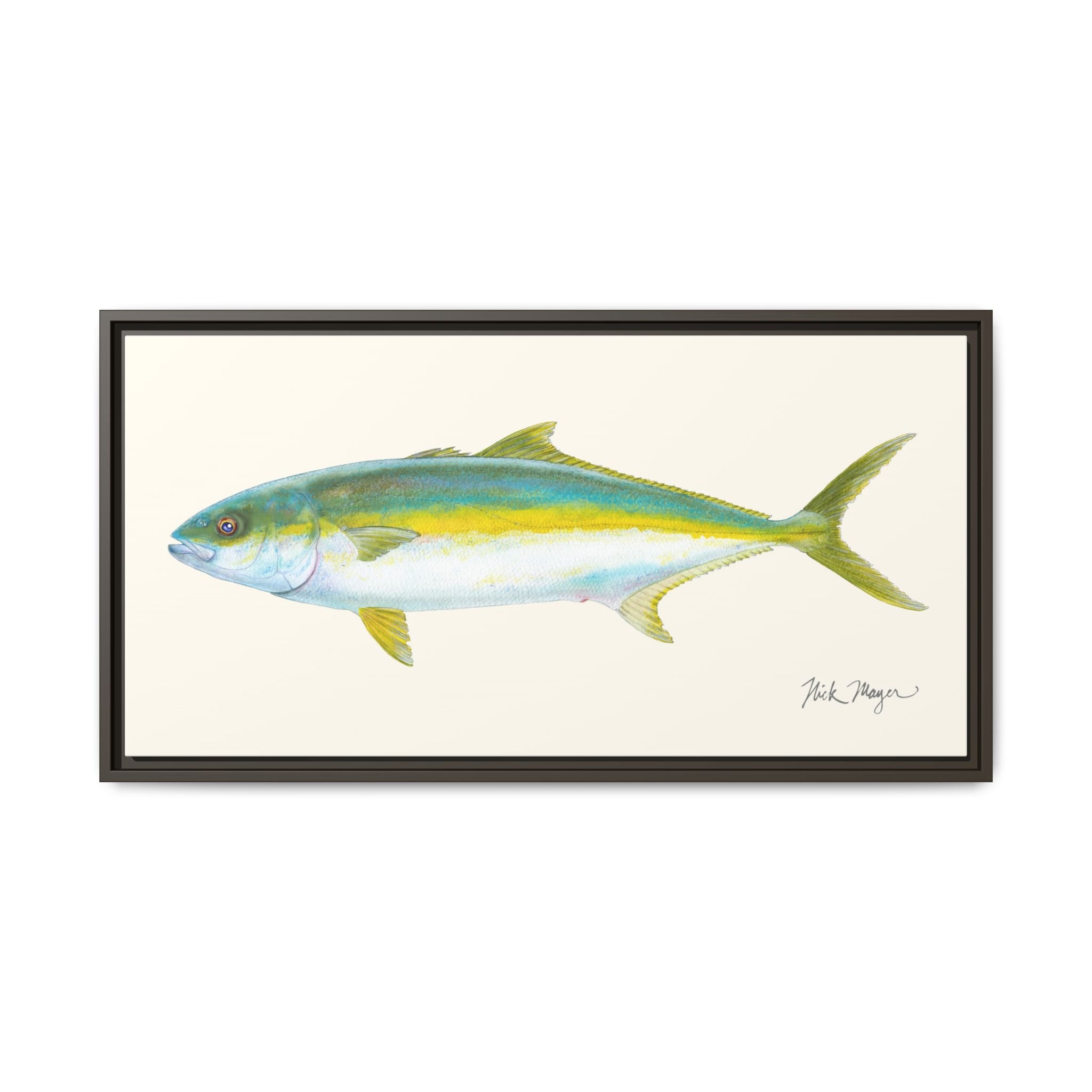 California Yellowtail I Framed Canvas Print Printify