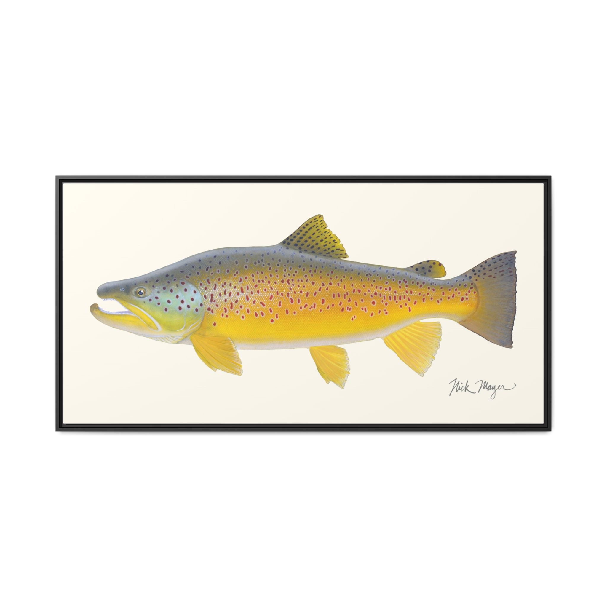 Brown Trout III Framed Canvas Print Printify