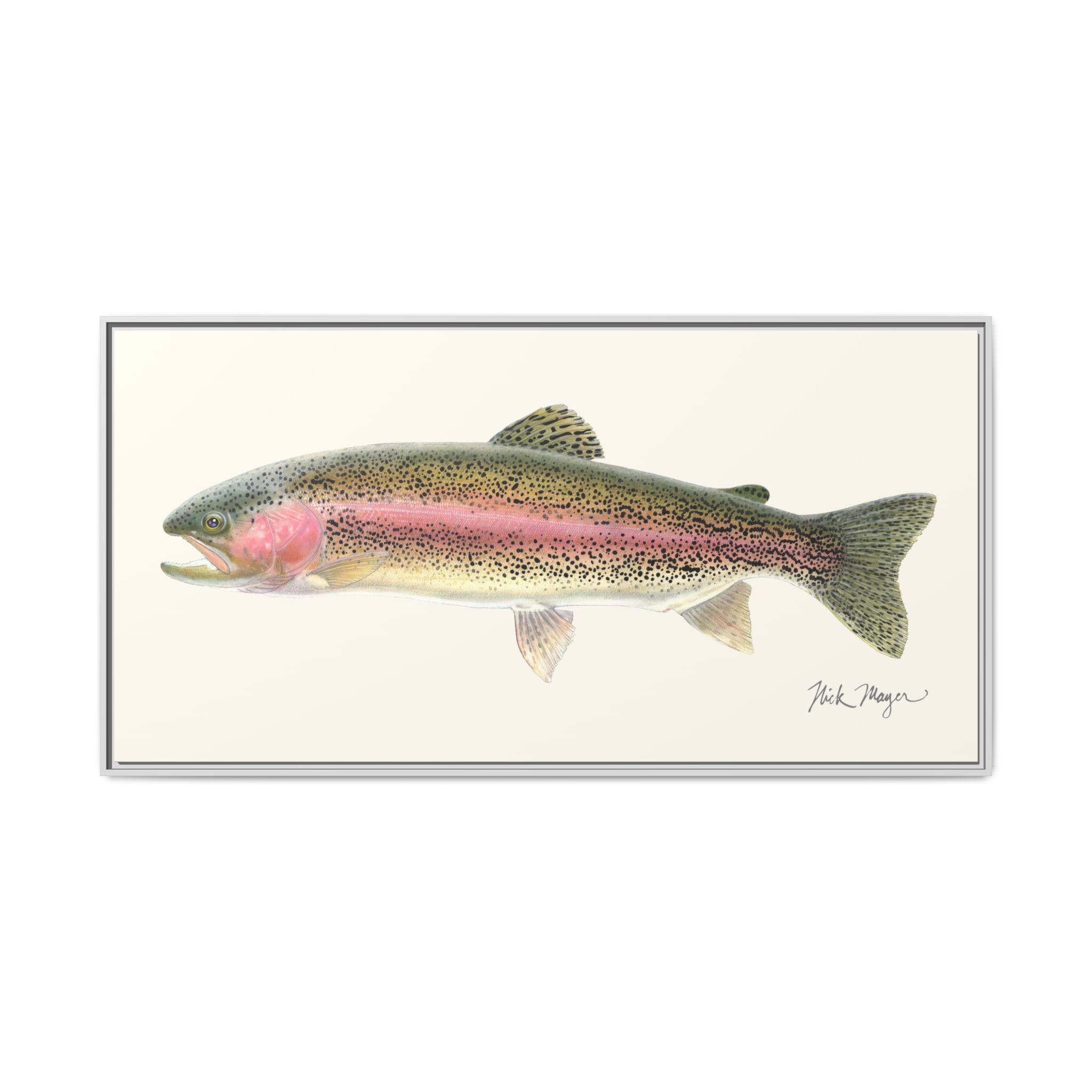 Rainbow Trout Framed Canvas Print Printify