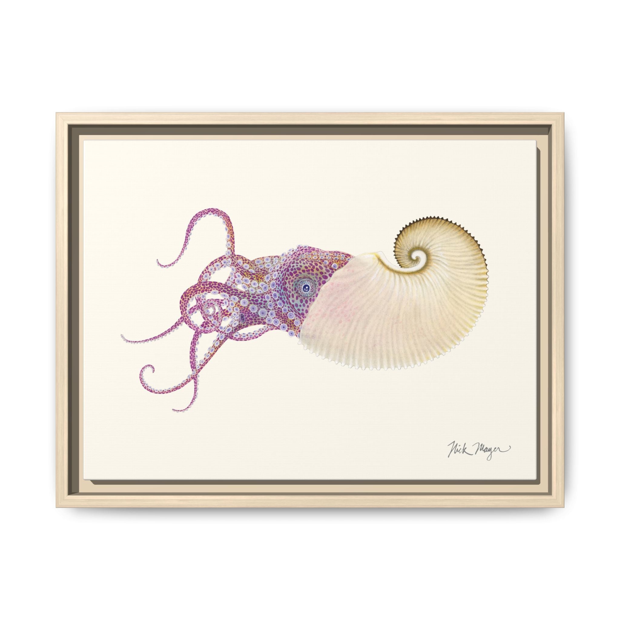 Paper Nautilus Framed Canvas Print Printify