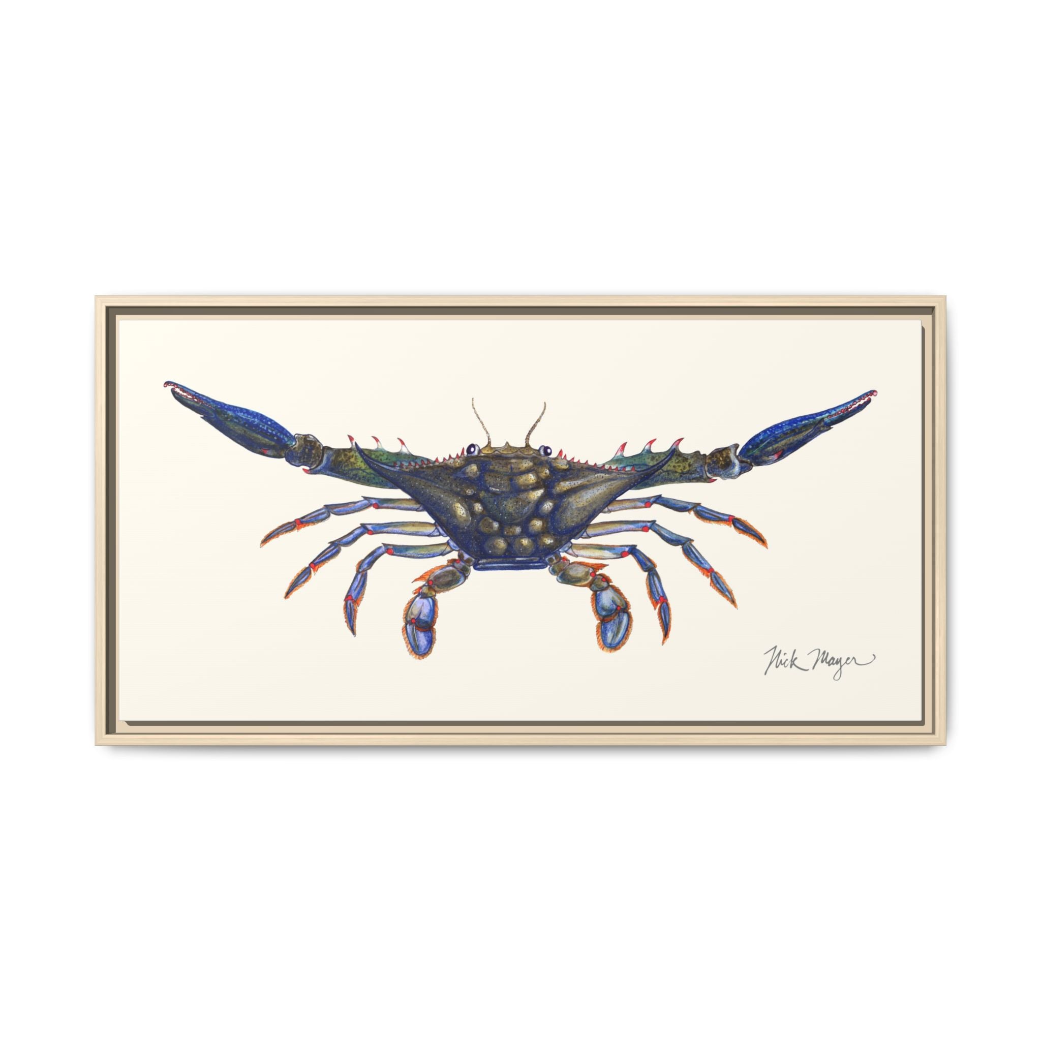 Blue Crab, Claws Out Framed Canvas Print Printify
