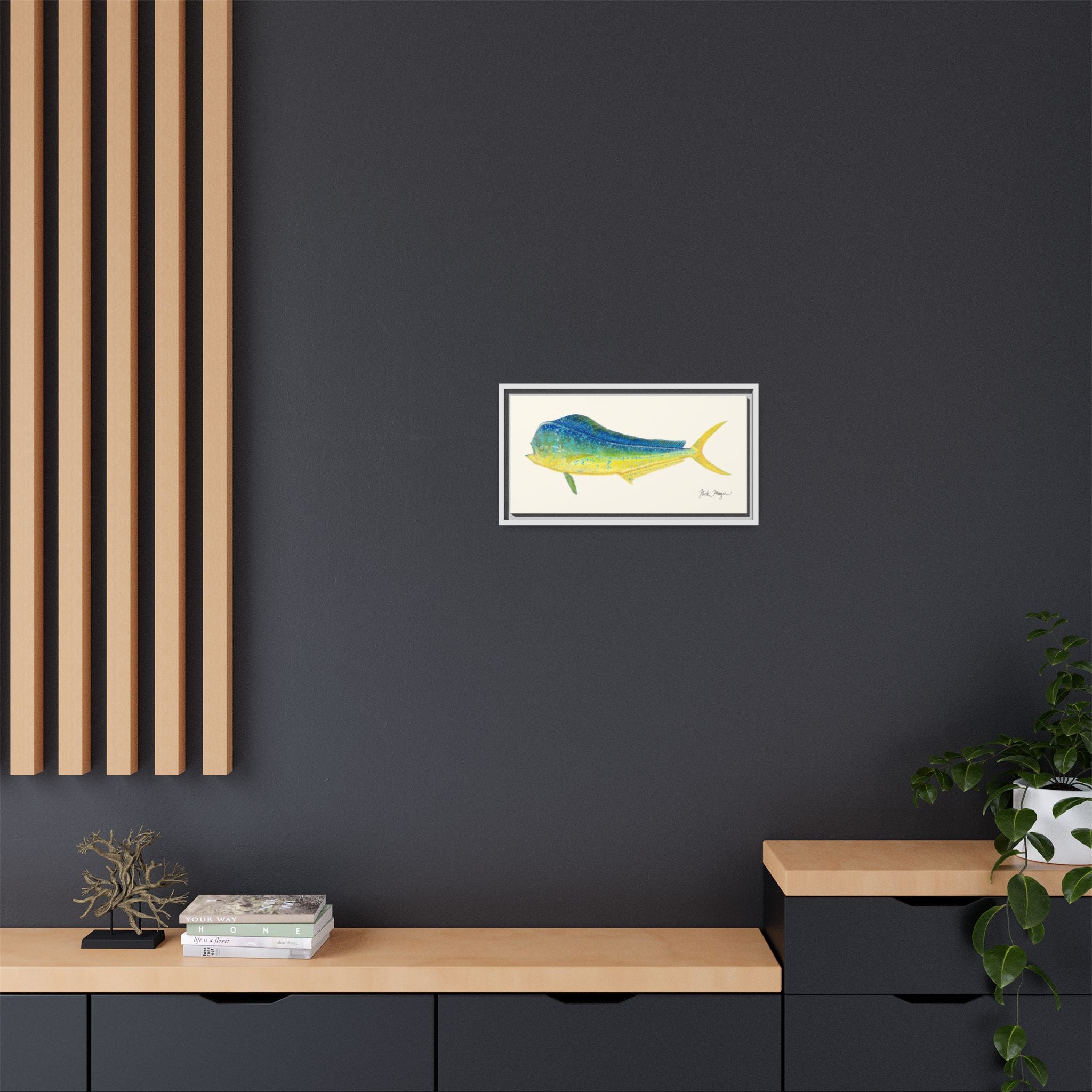 Bull Mahi Mahi Framed Canvas Print