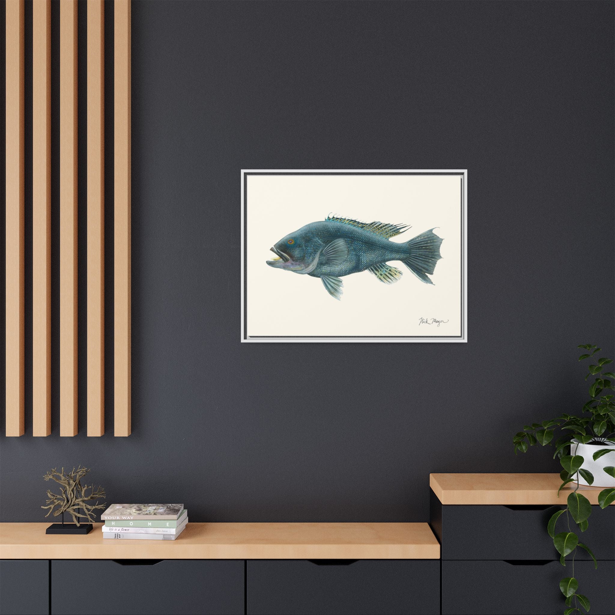 Black Sea Bass Framed Canvas Print Printify