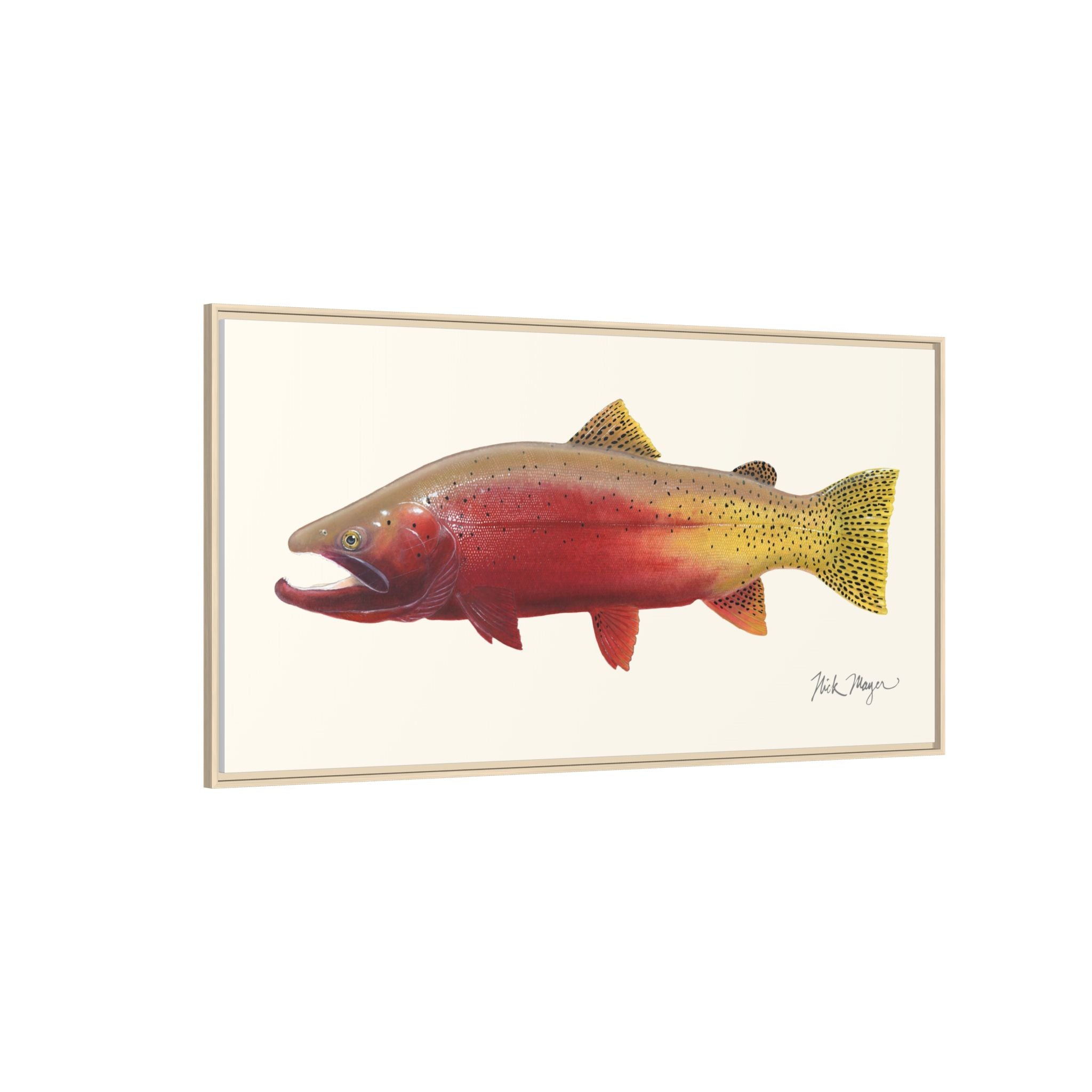 Cutthroat Trout II Framed Canvas Print Printify