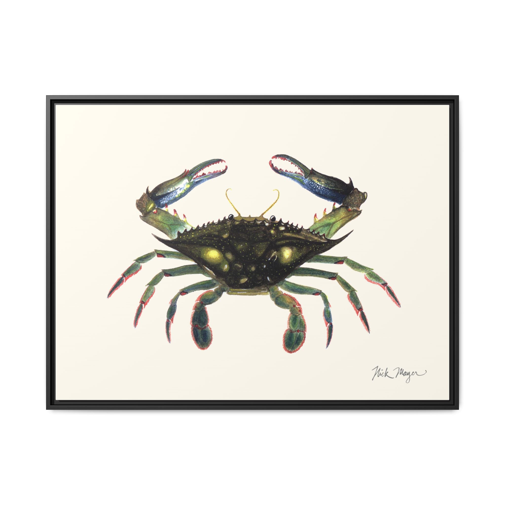 Blue Crab, Claws in Framed Canvas Print Printify