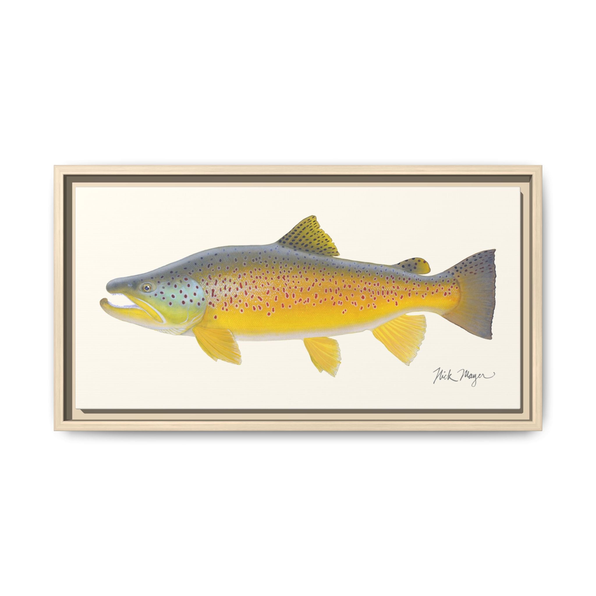 Brown Trout III Framed Canvas Print Printify