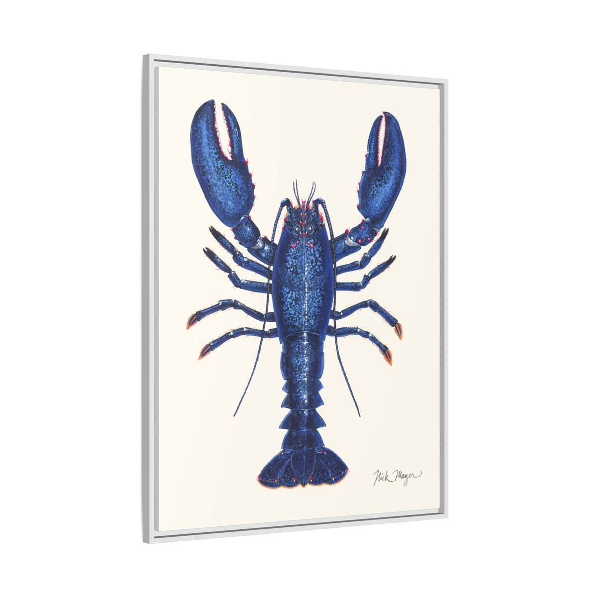 Blue Lobster II Framed Canvas Print Printify