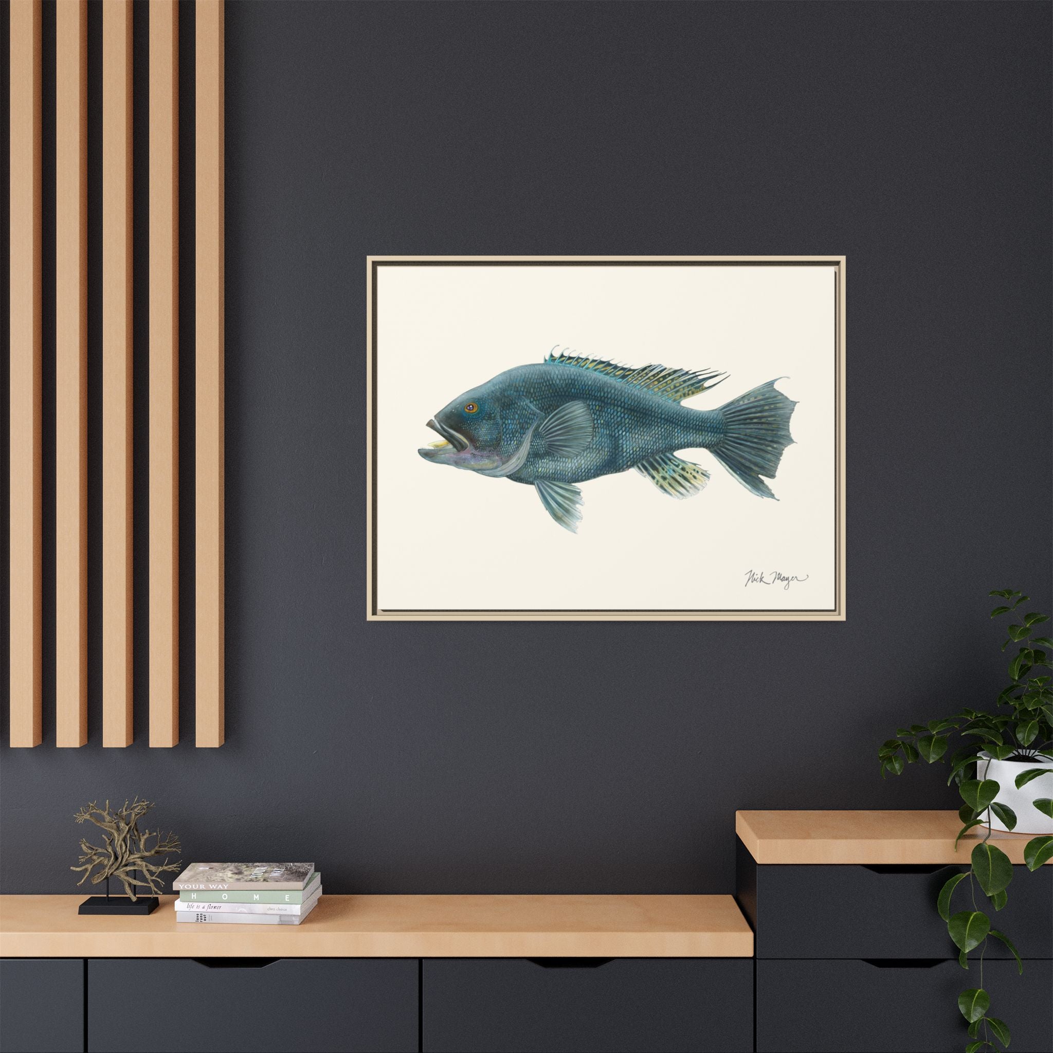 Black Sea Bass Framed Canvas Print Printify