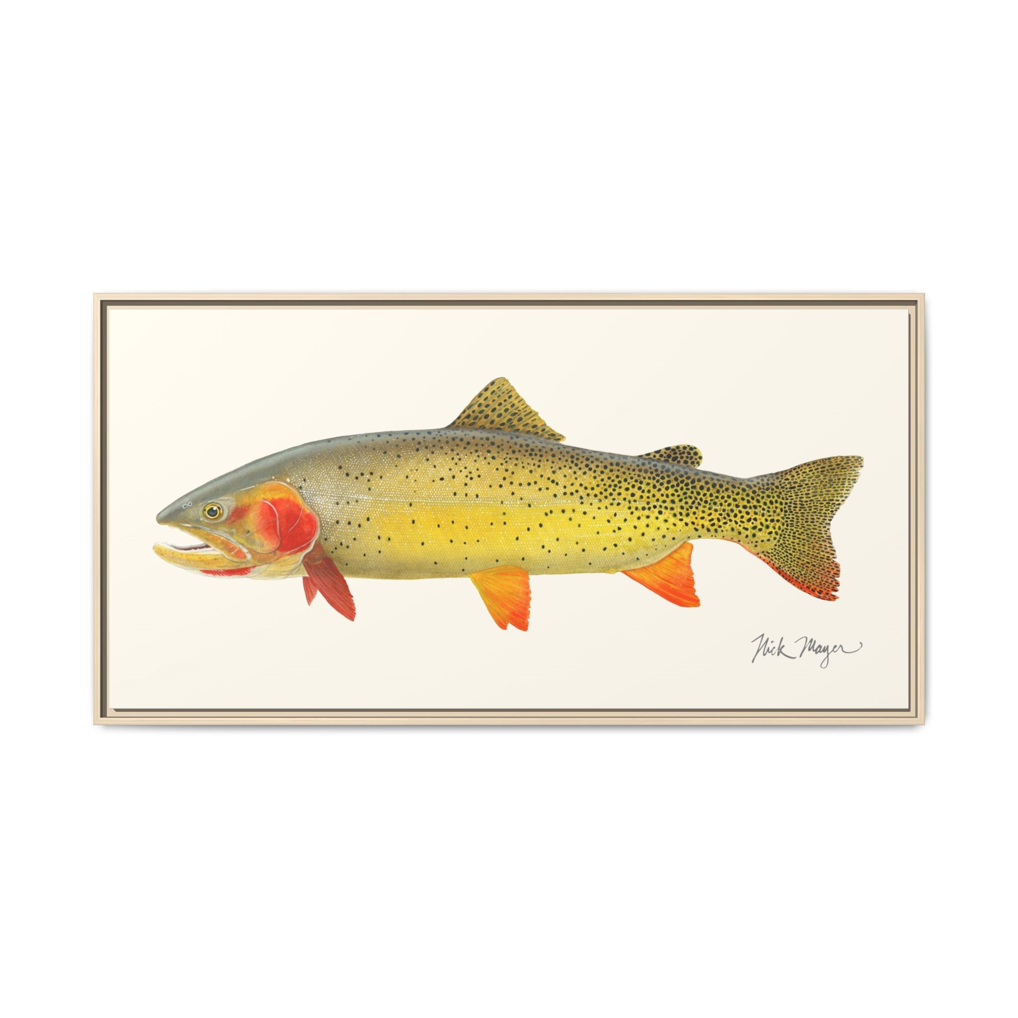 Cutthroat Trout I Framed Canvas Print Printify