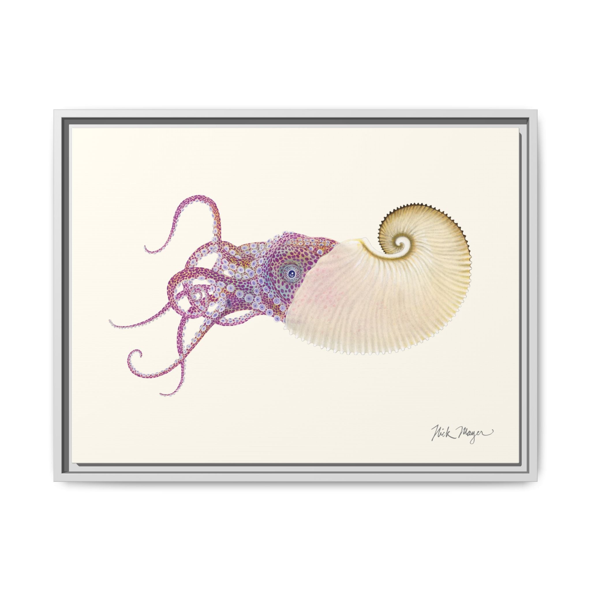 Paper Nautilus Framed Canvas Print Printify