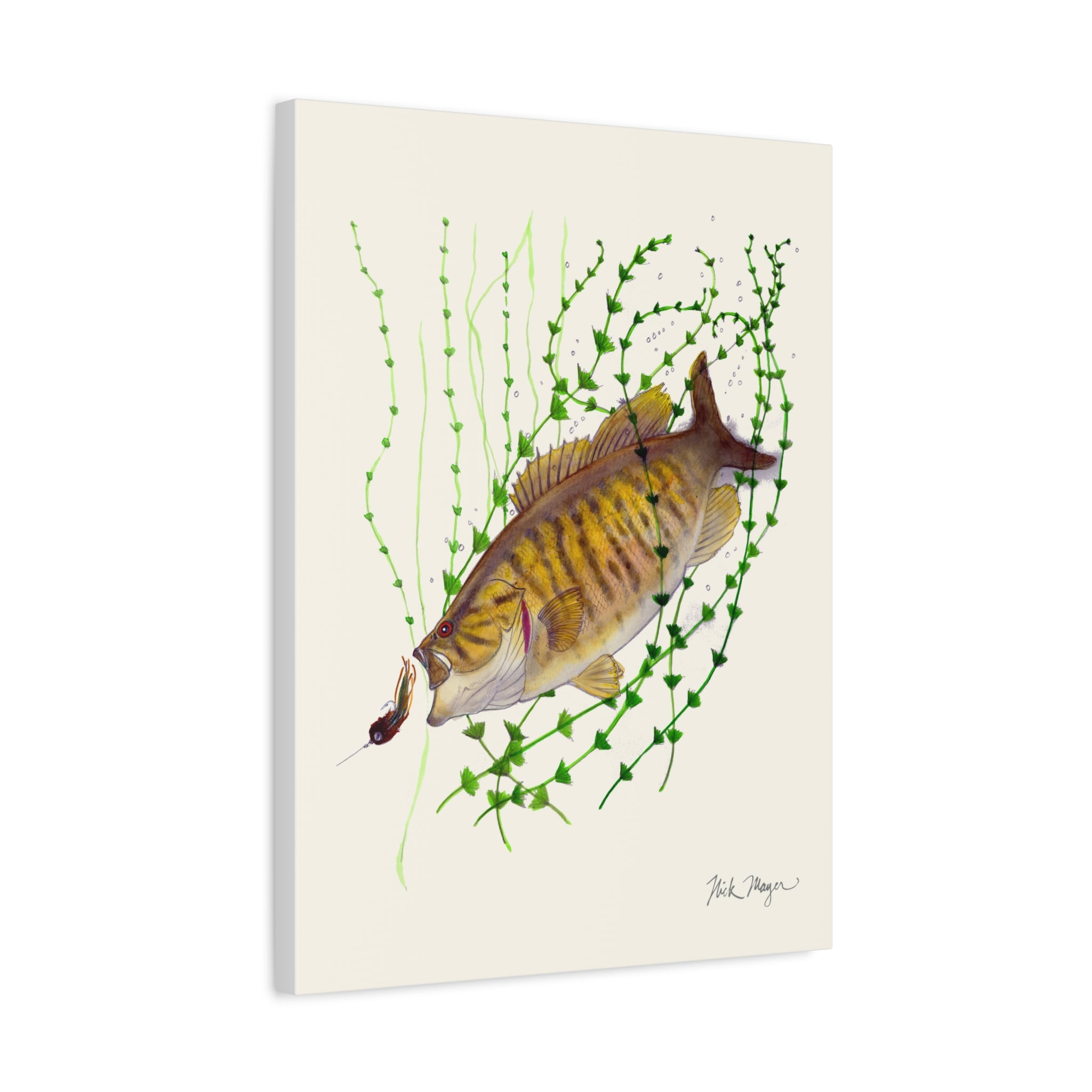 Bronzeback Smallmouth Bass Canvas Print