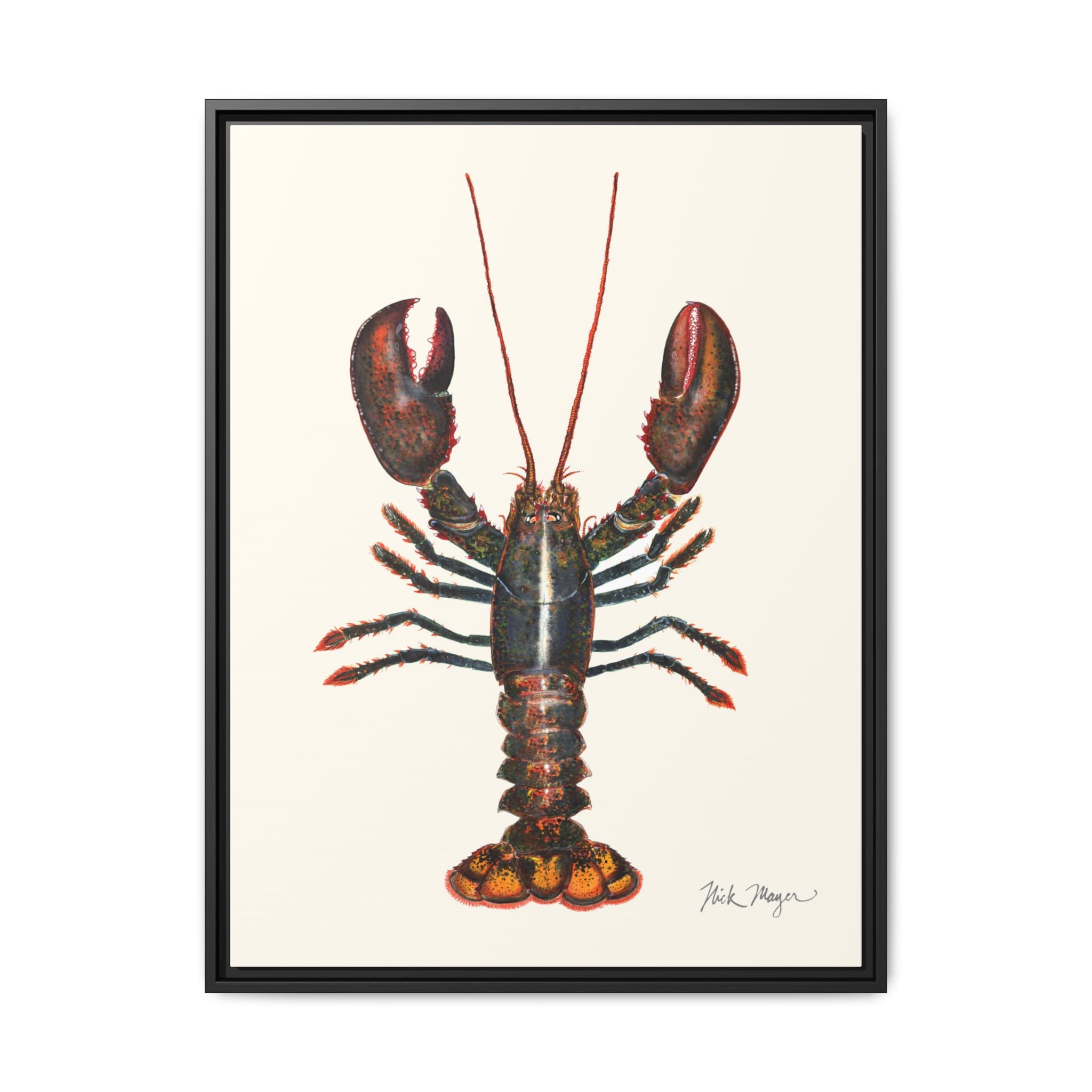 Northern Lobster Framed Canvas Print Printify