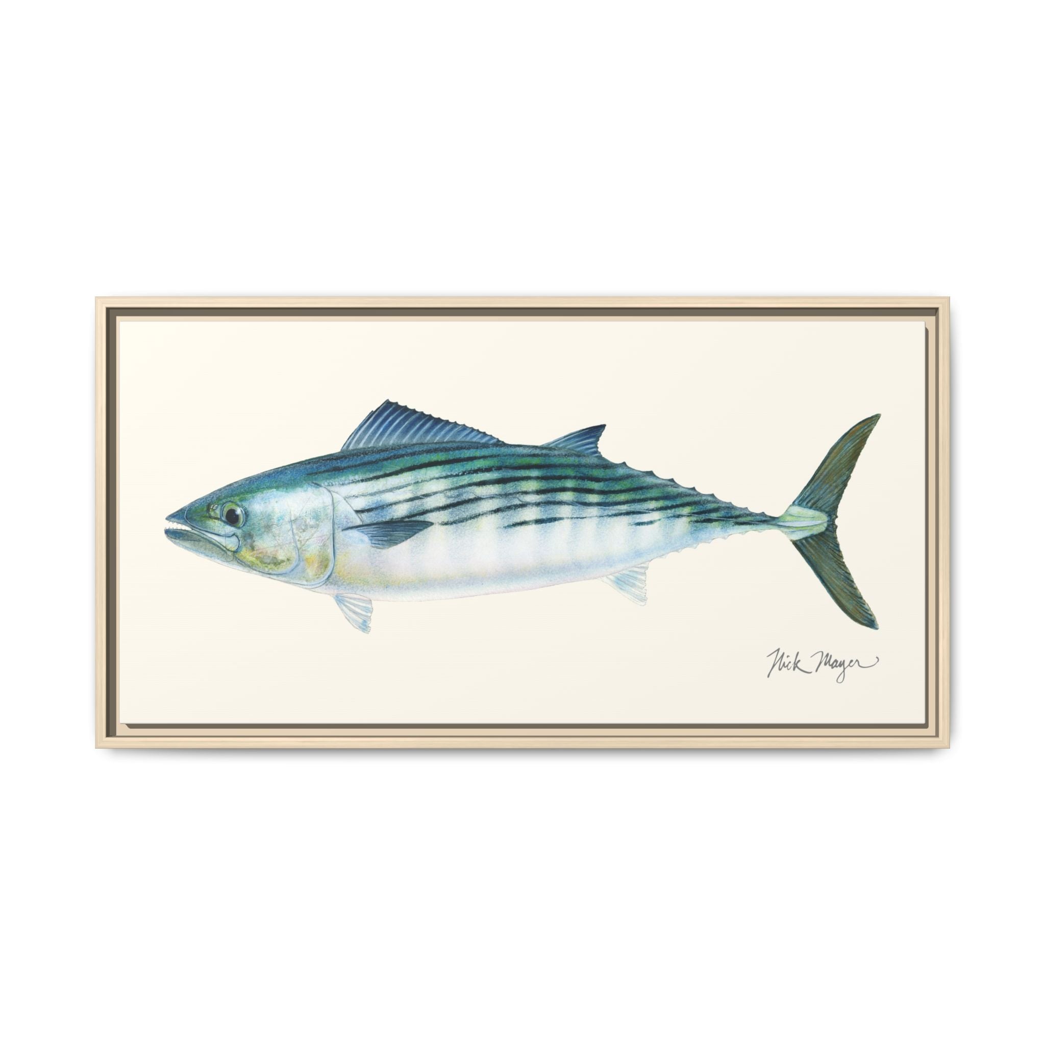 Bonito Framed Canvas Print Printify