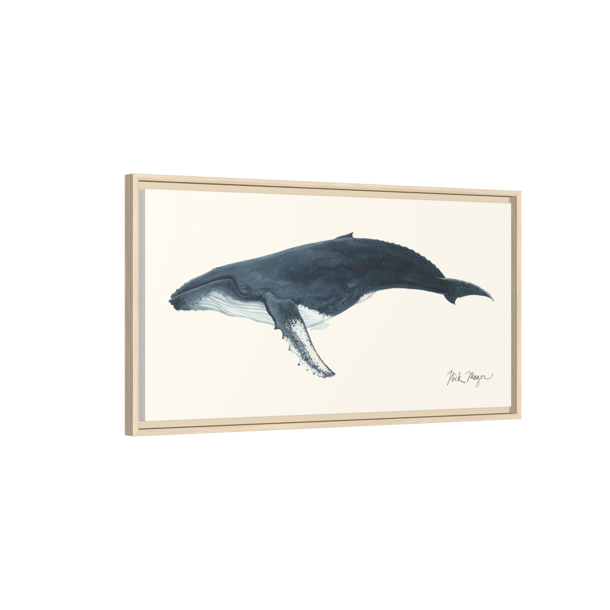 Humpback Whale Framed Canvas Print Printify