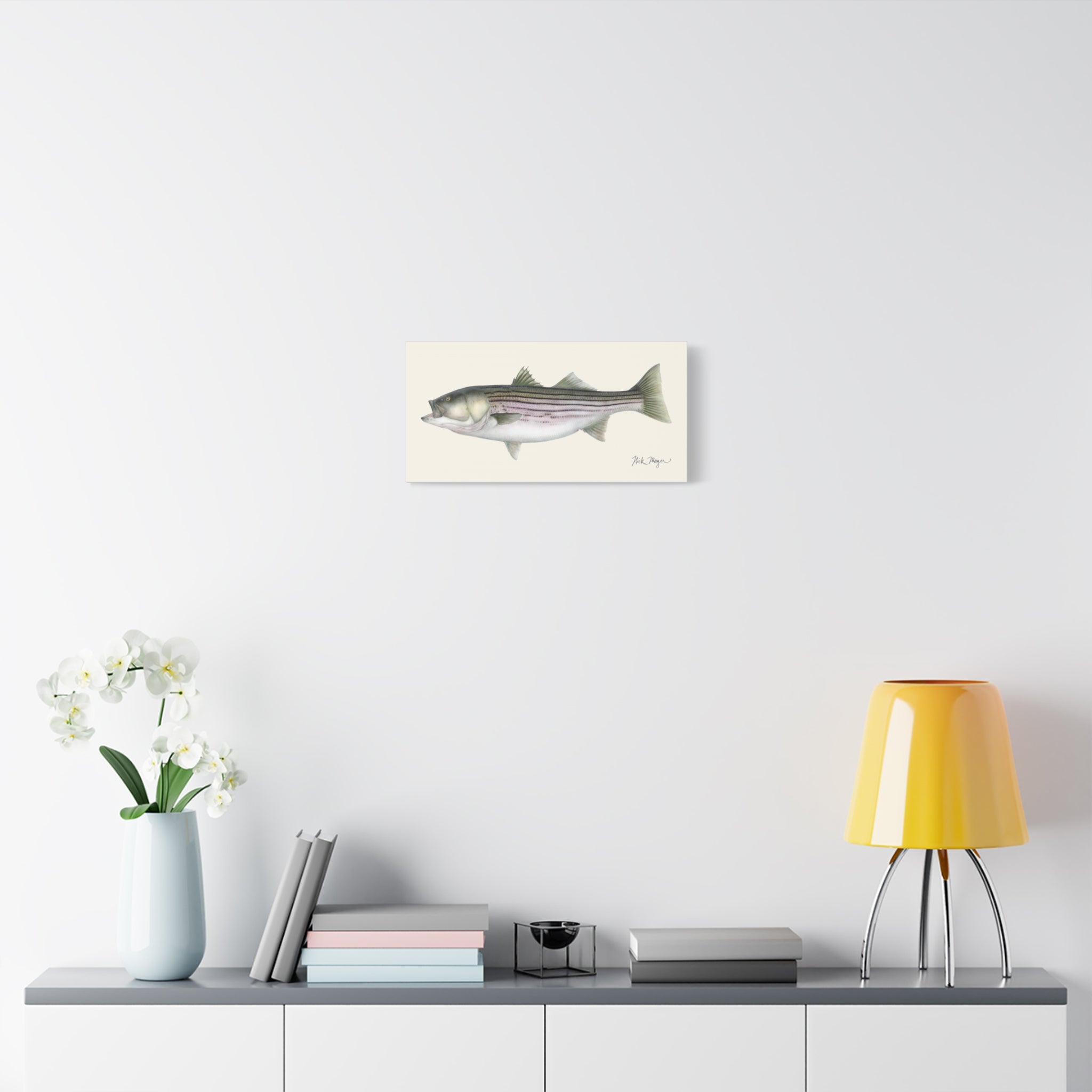 Striped Bass, 30 lbs Canvas Print