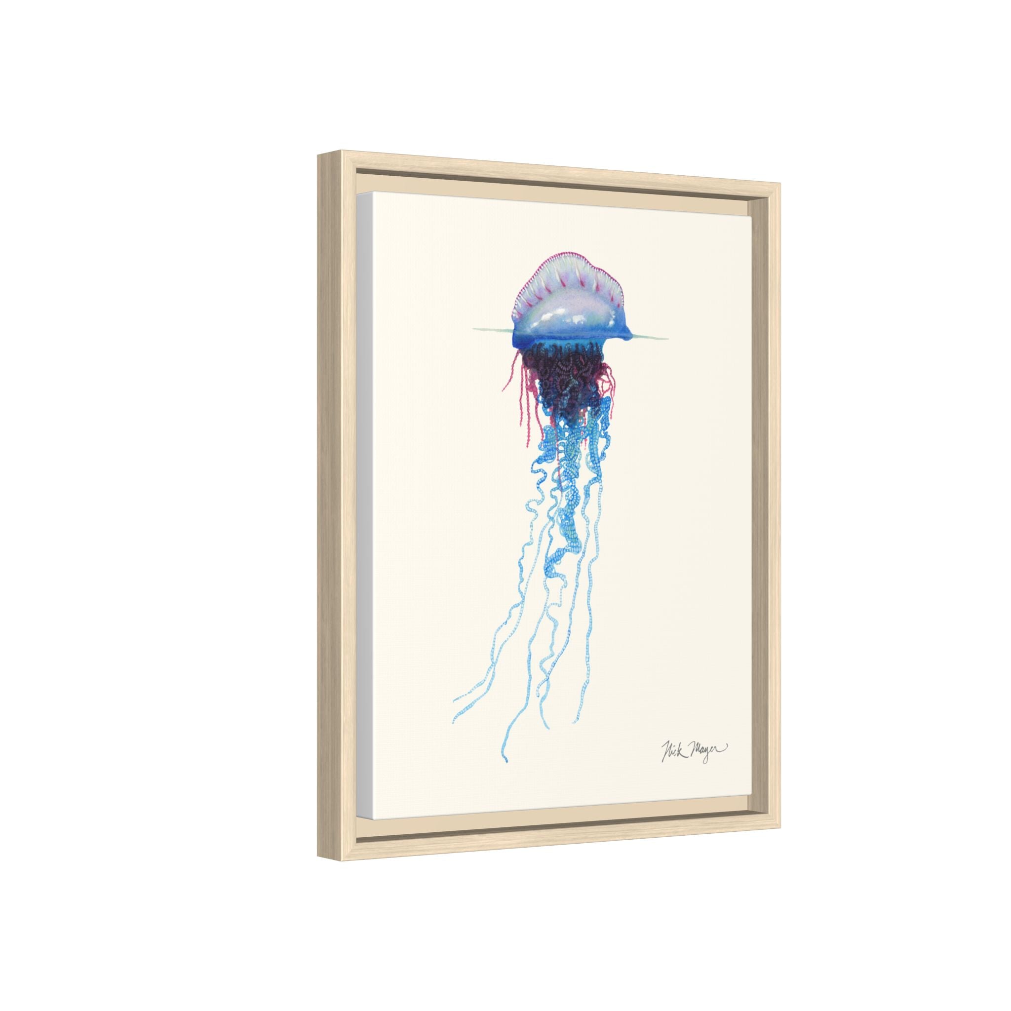Portuguese Man O' War Framed Canvas Print Printify