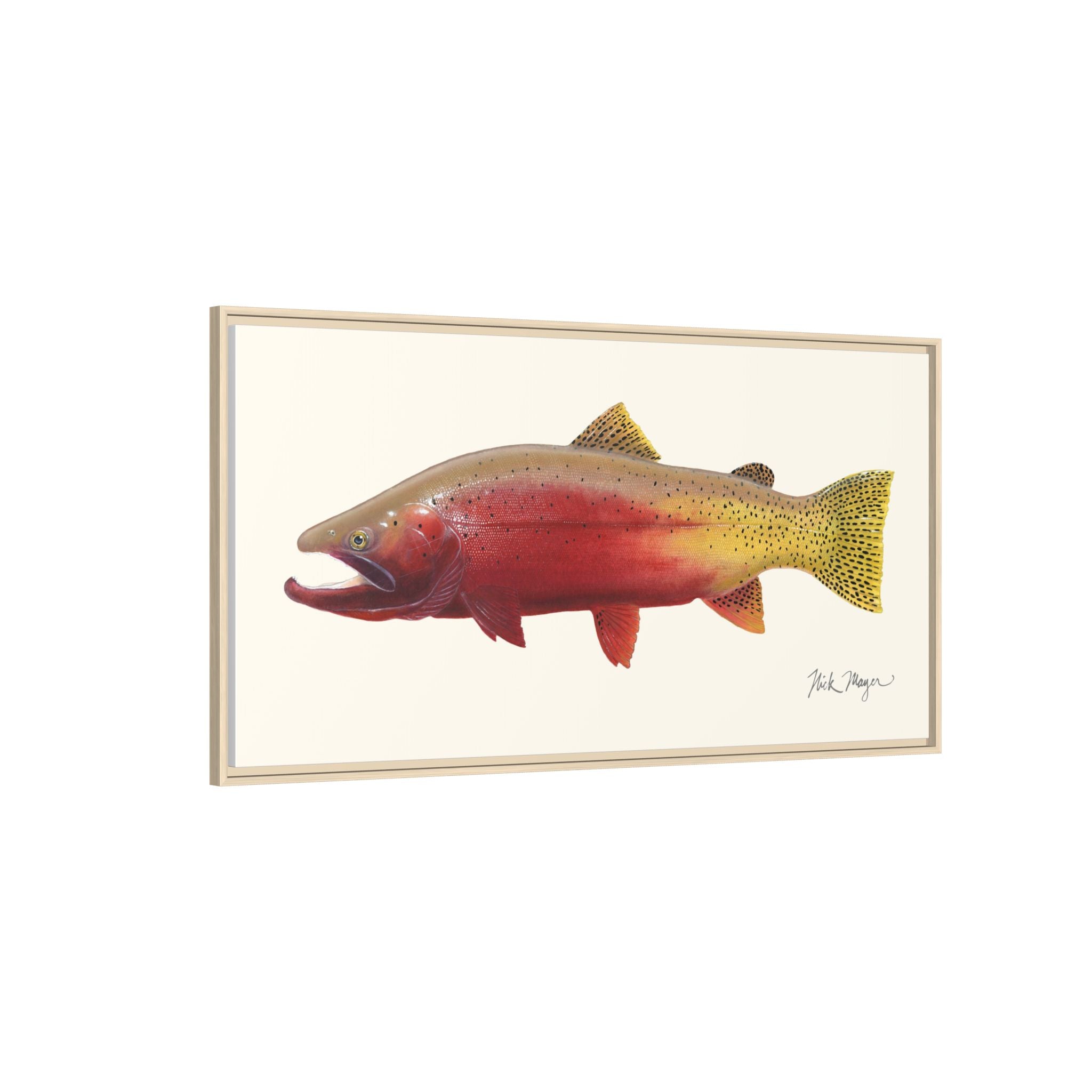 Cutthroat Trout II Framed Canvas Print Printify