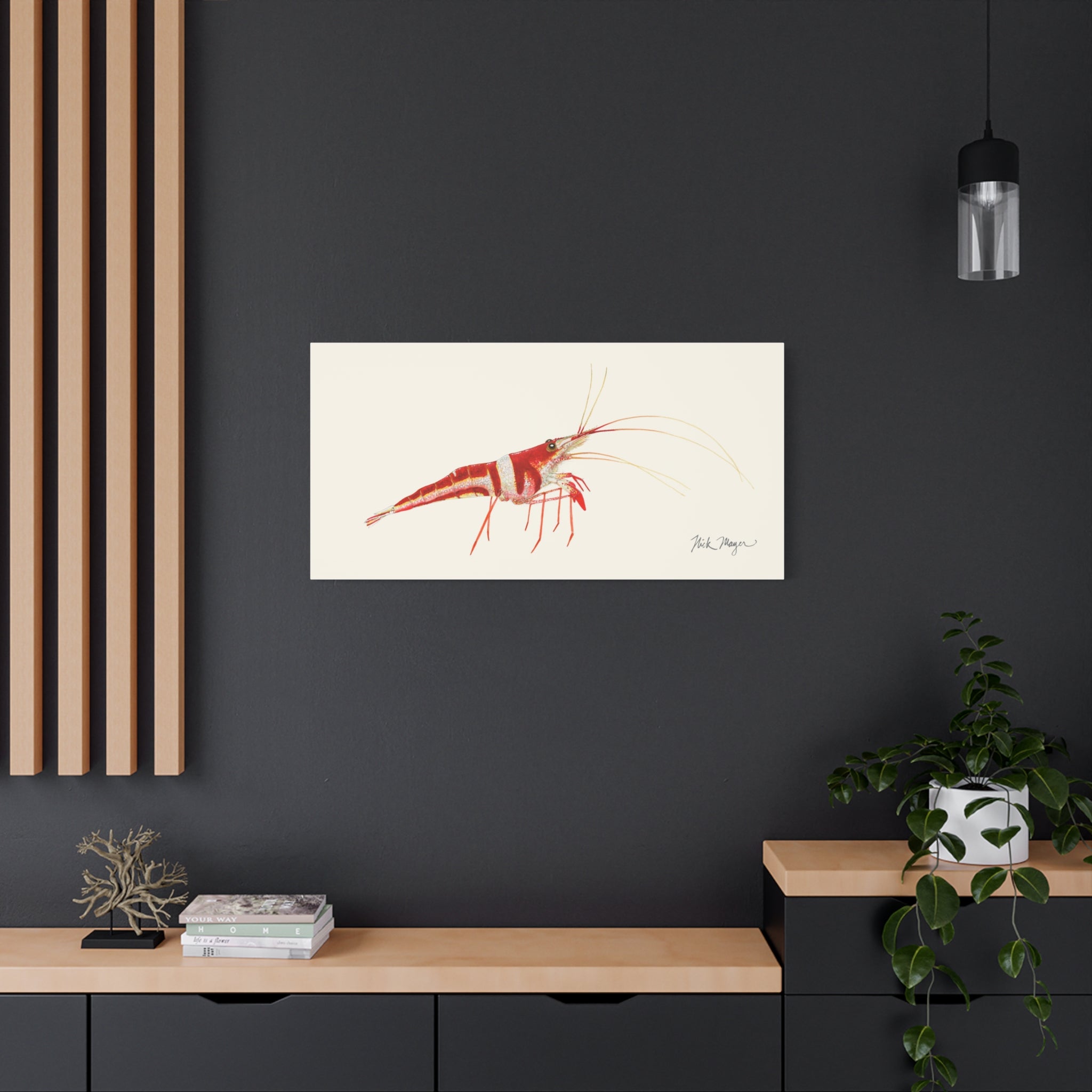 Sulawesi Harlequin Shrimp Canvas Print