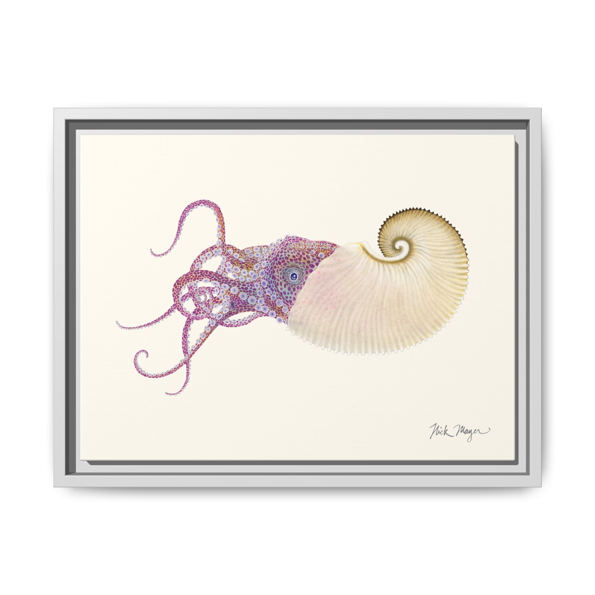 Paper Nautilus Framed Canvas Print Printify