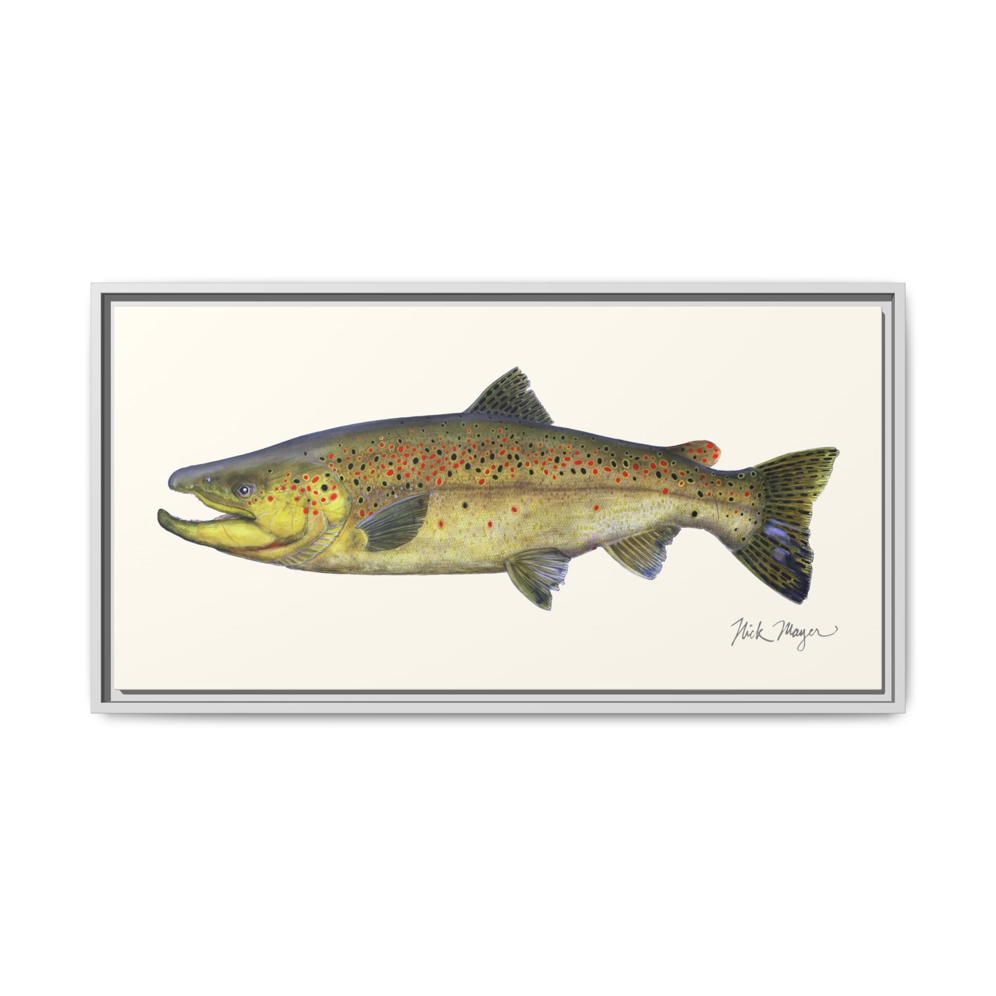 Brown Trout I Framed Canvas Print Printify