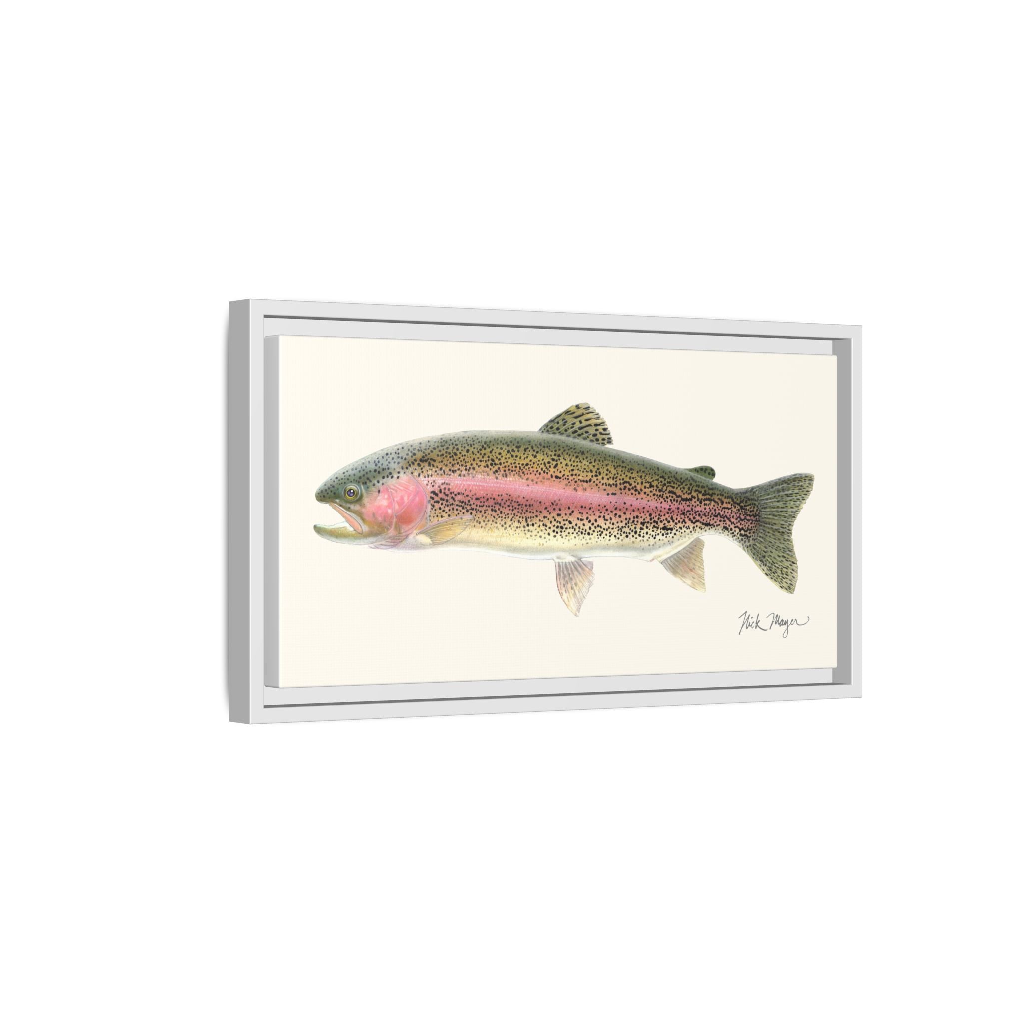 Rainbow Trout Framed Canvas Print Printify