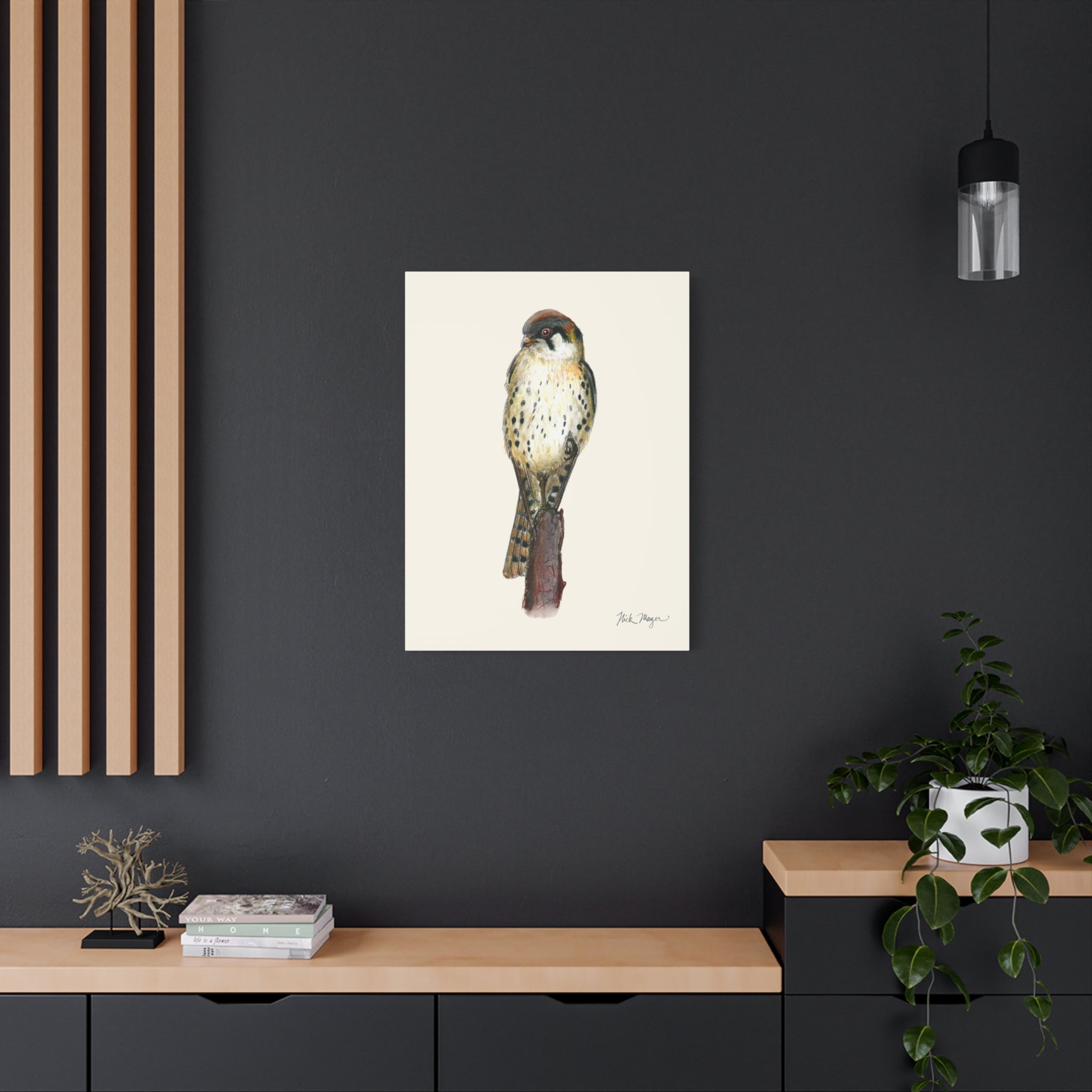 American Kestrel Canvas Print