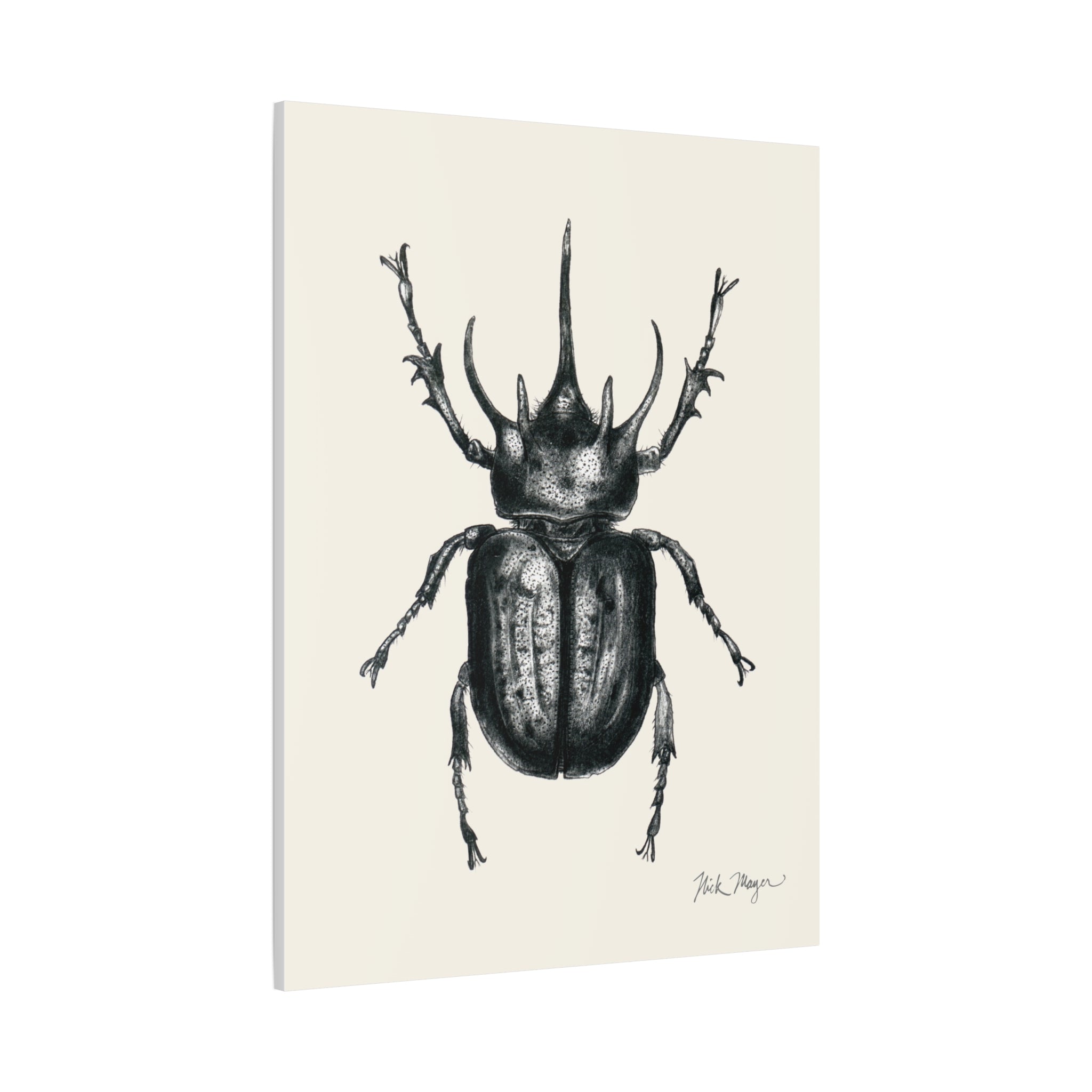 Rhinoceros Beetle Canvas Print
