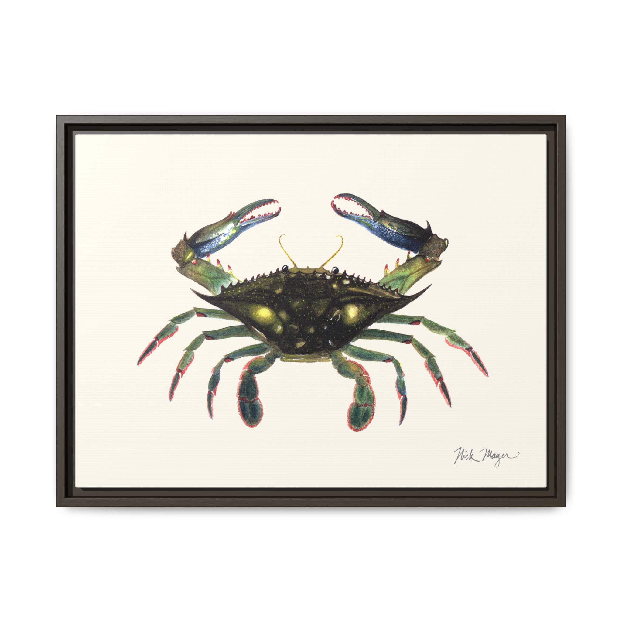 Blue Crab, Claws in Framed Canvas Print Printify