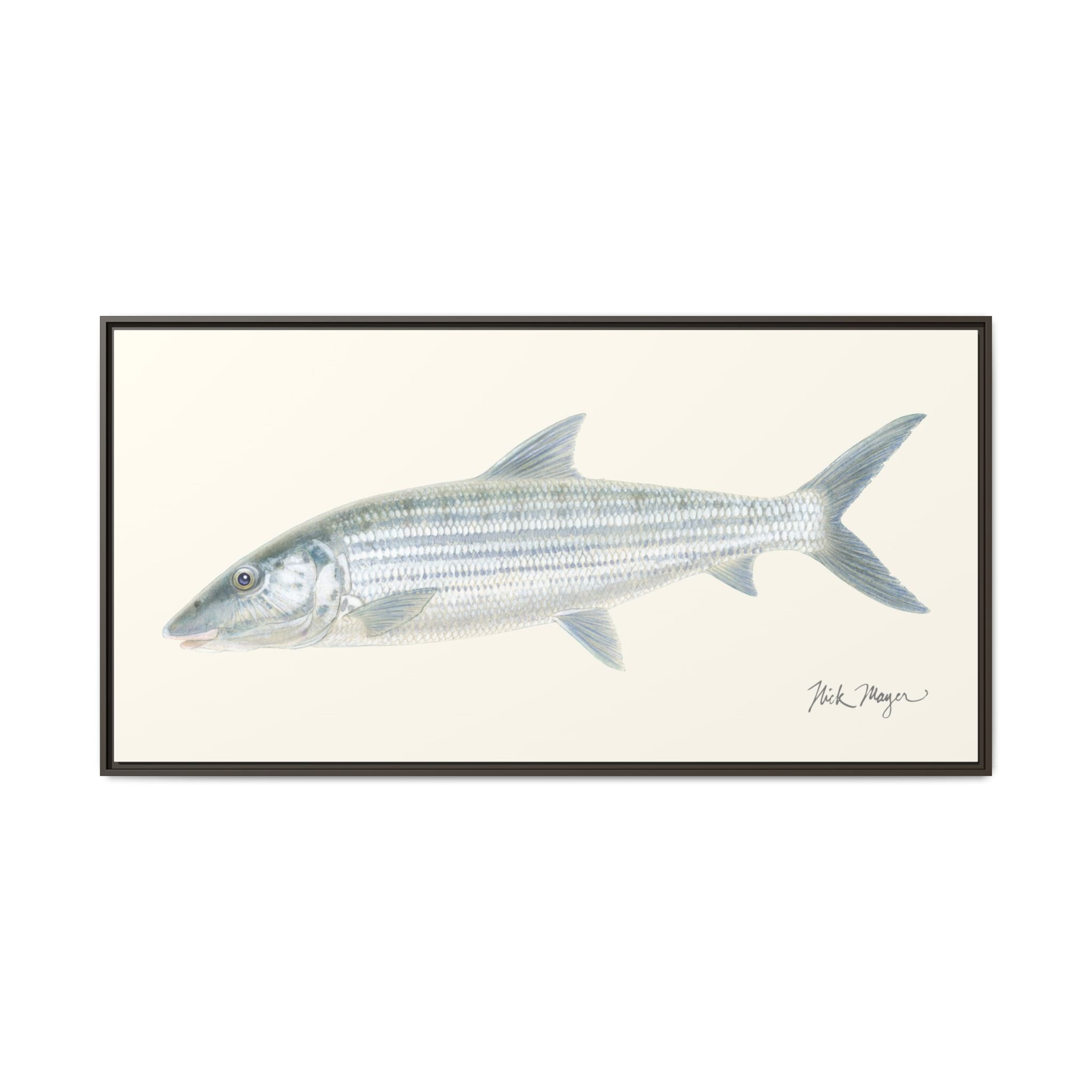 Bonefish Framed Canvas Print Printify