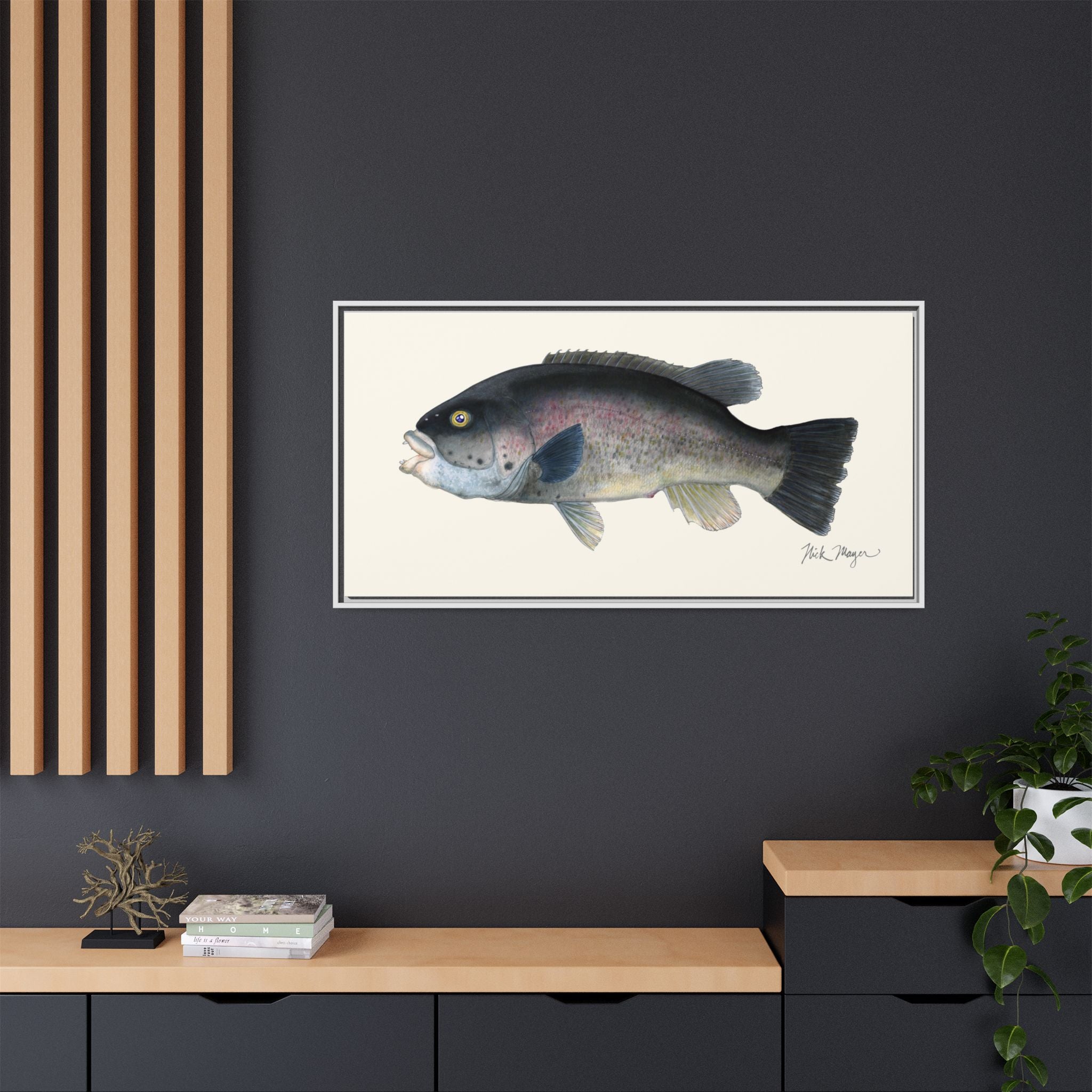 Tautog / Blackfish Framed Canvas Print Printify