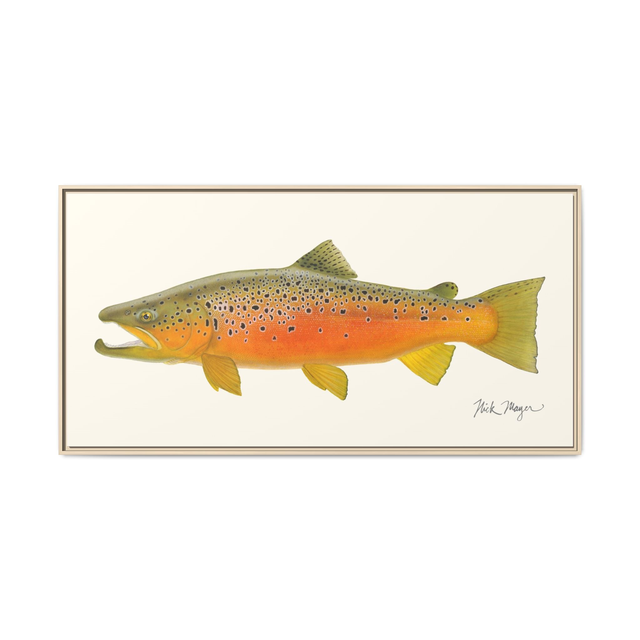 Brown Trout II Framed Canvas Print Printify