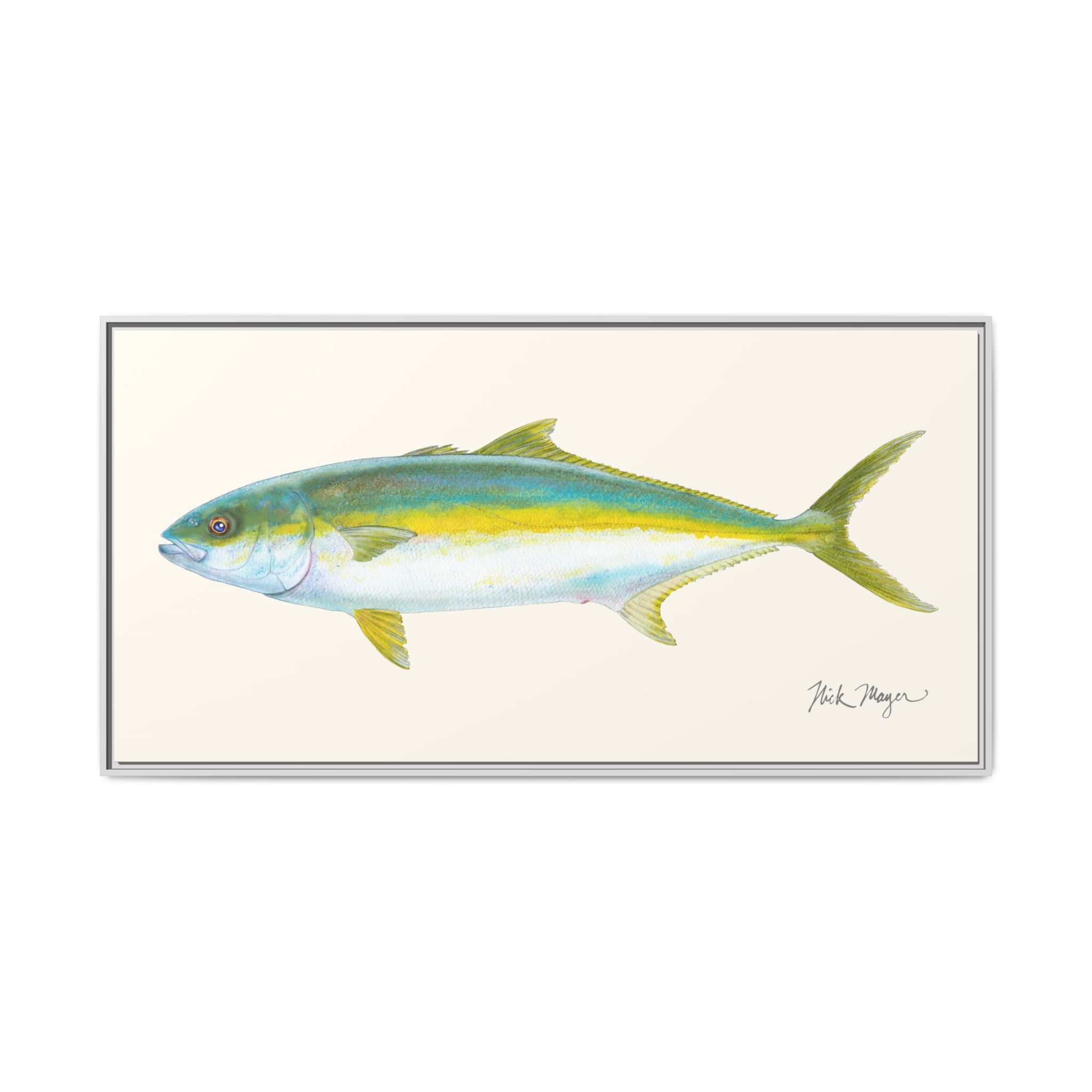 California Yellowtail I Framed Canvas Print Printify