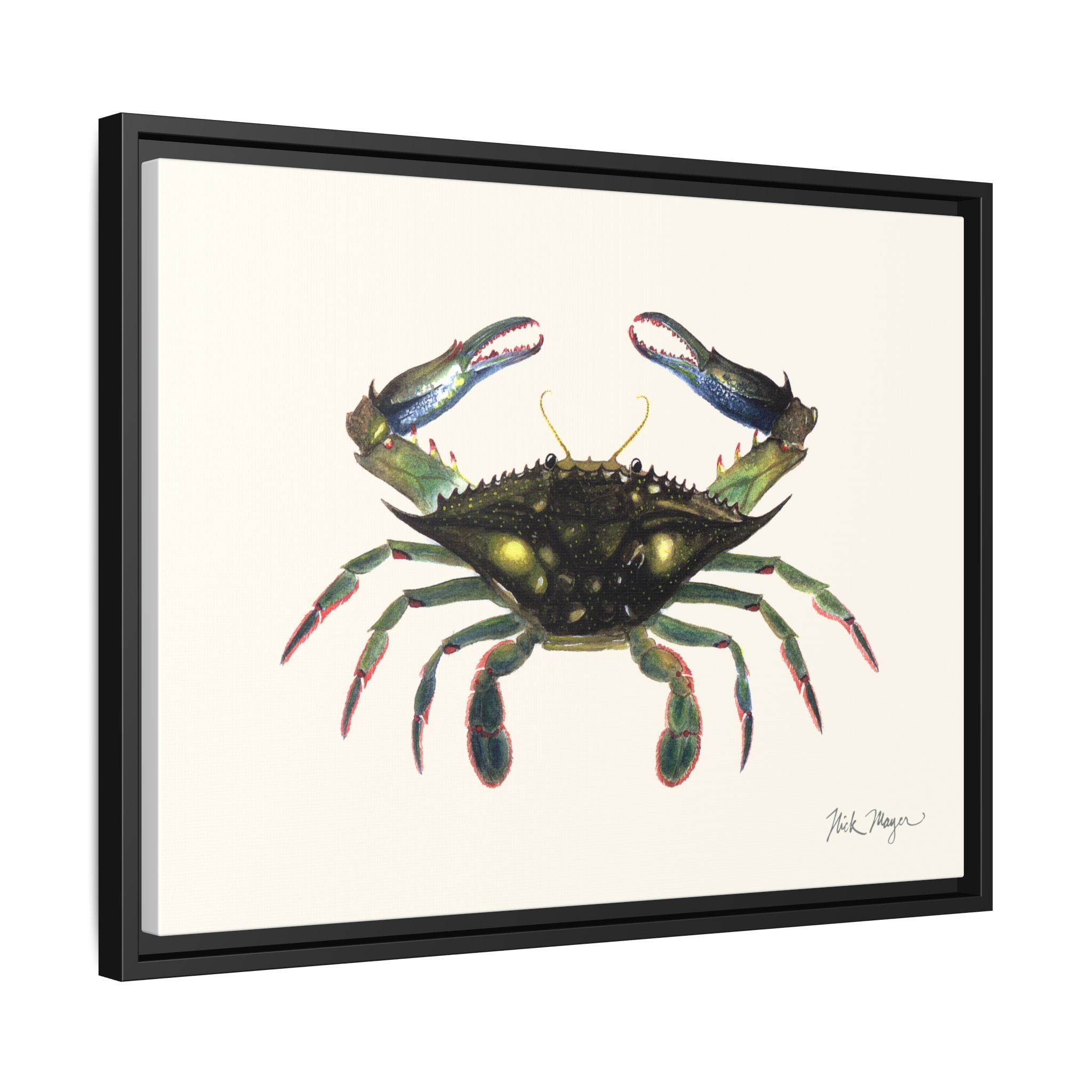 Blue Crab, Claws in Framed Canvas Print Printify