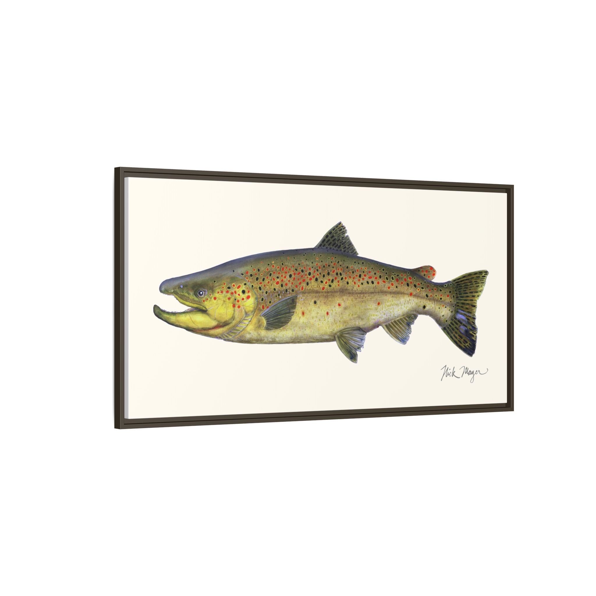 Brown Trout I Framed Canvas Print Printify