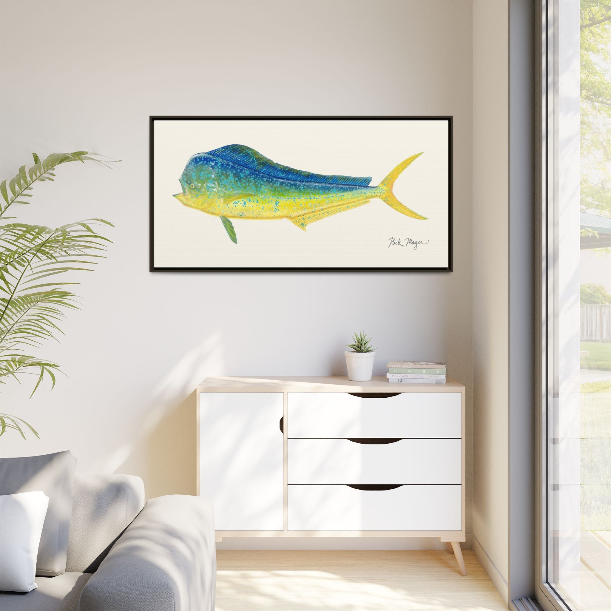 Bull Mahi Mahi Framed Canvas Print