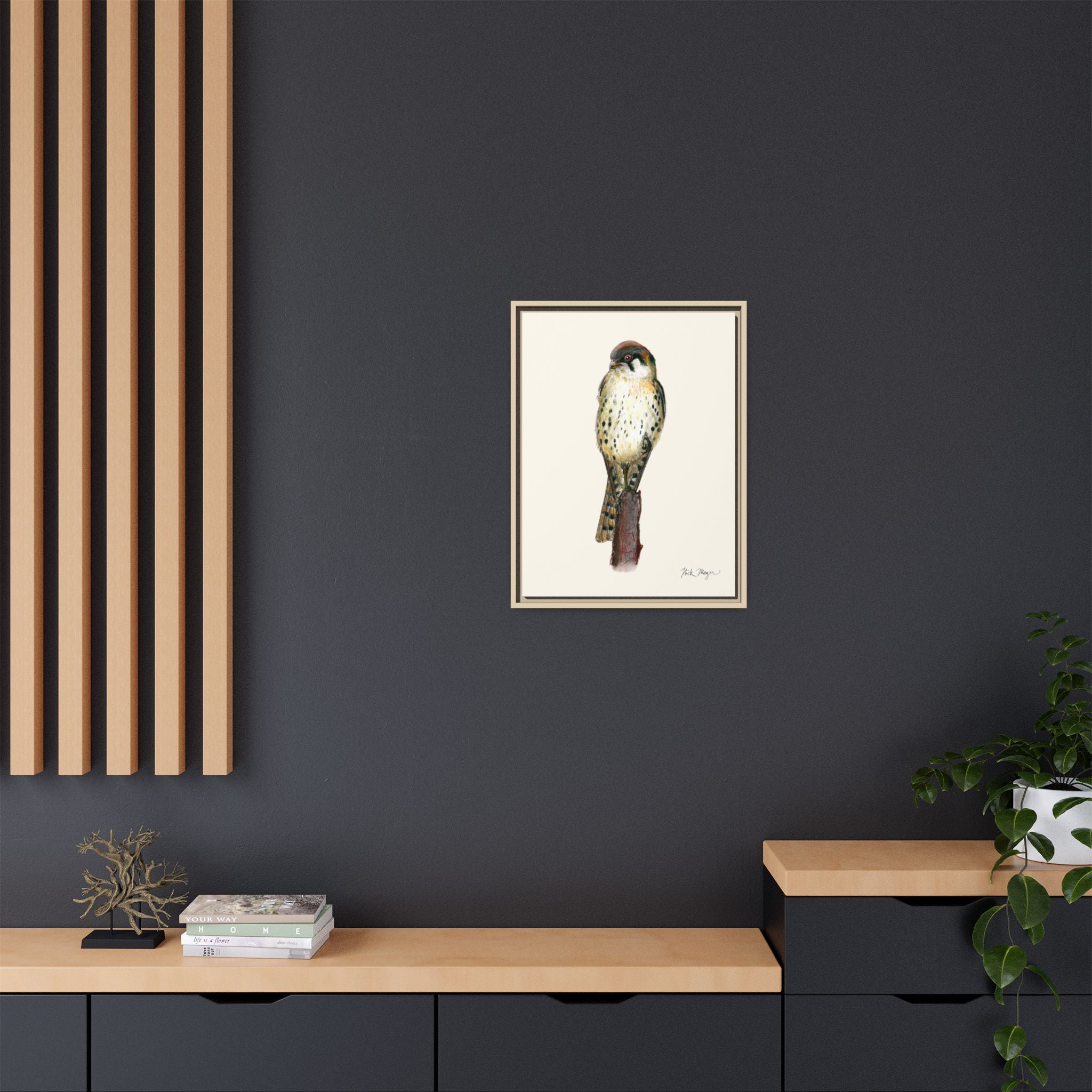 American Kestrel Framed Canvas Print Printify