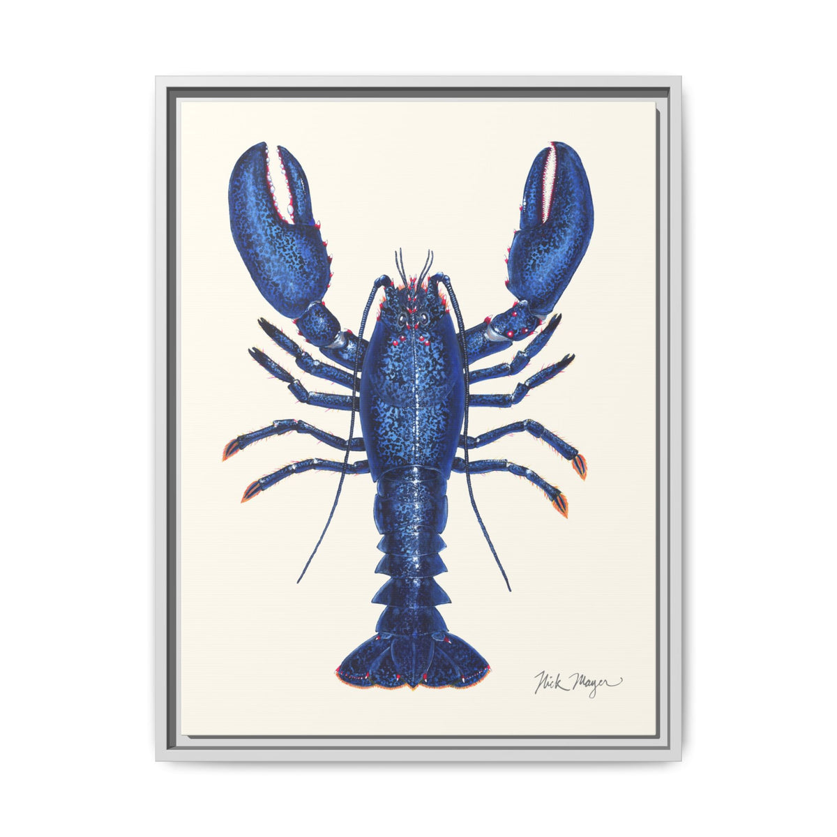 Blue Lobster II Framed Canvas Print Printify