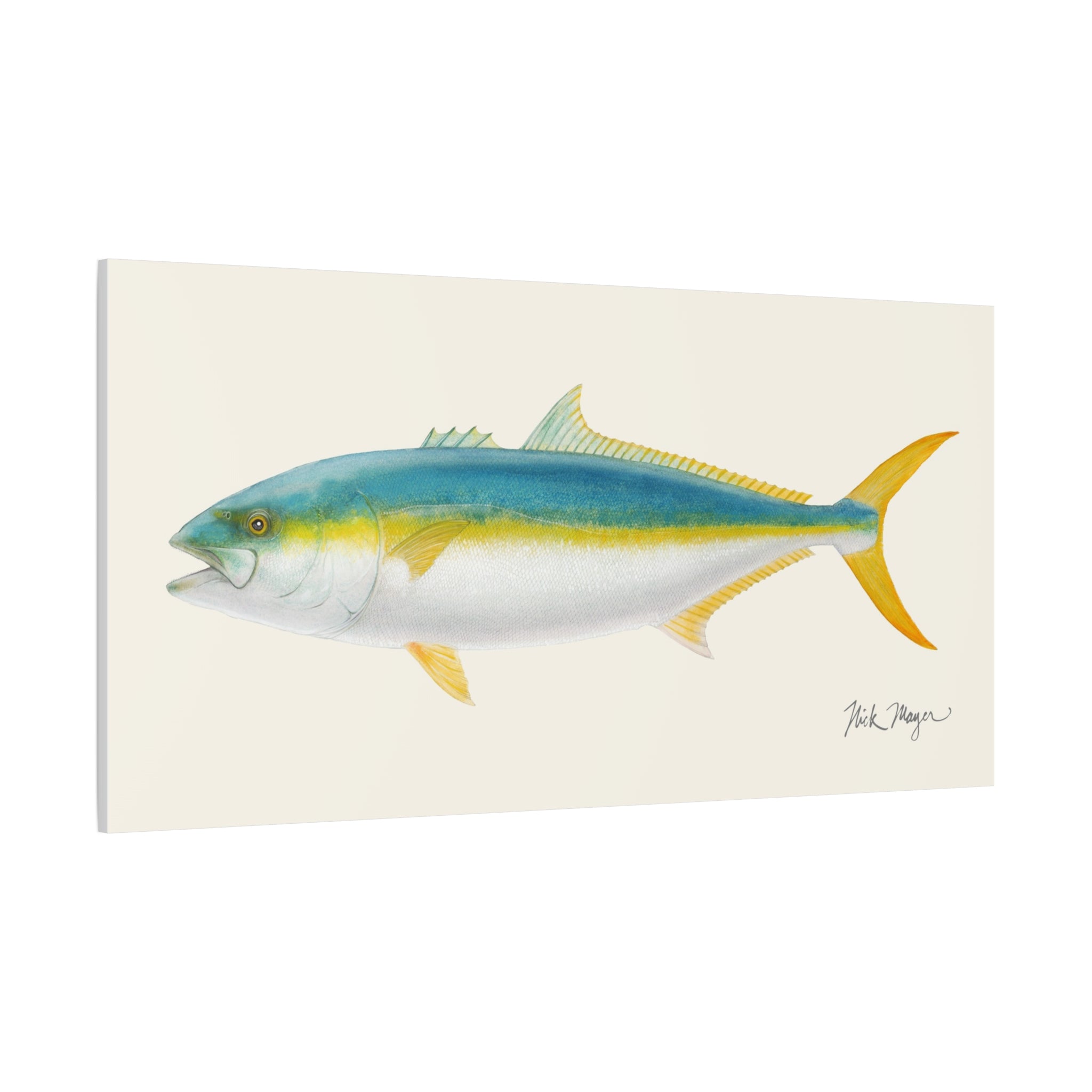 Yellowtail II Canvas Print