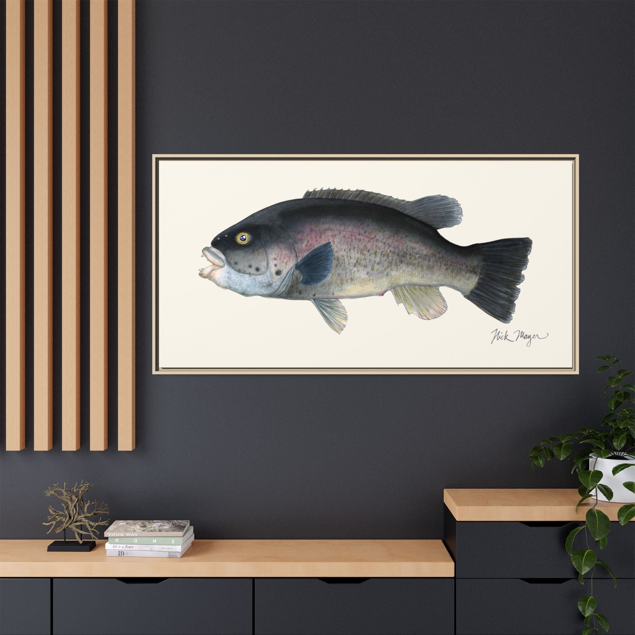 Tautog / Blackfish Framed Canvas Print Printify