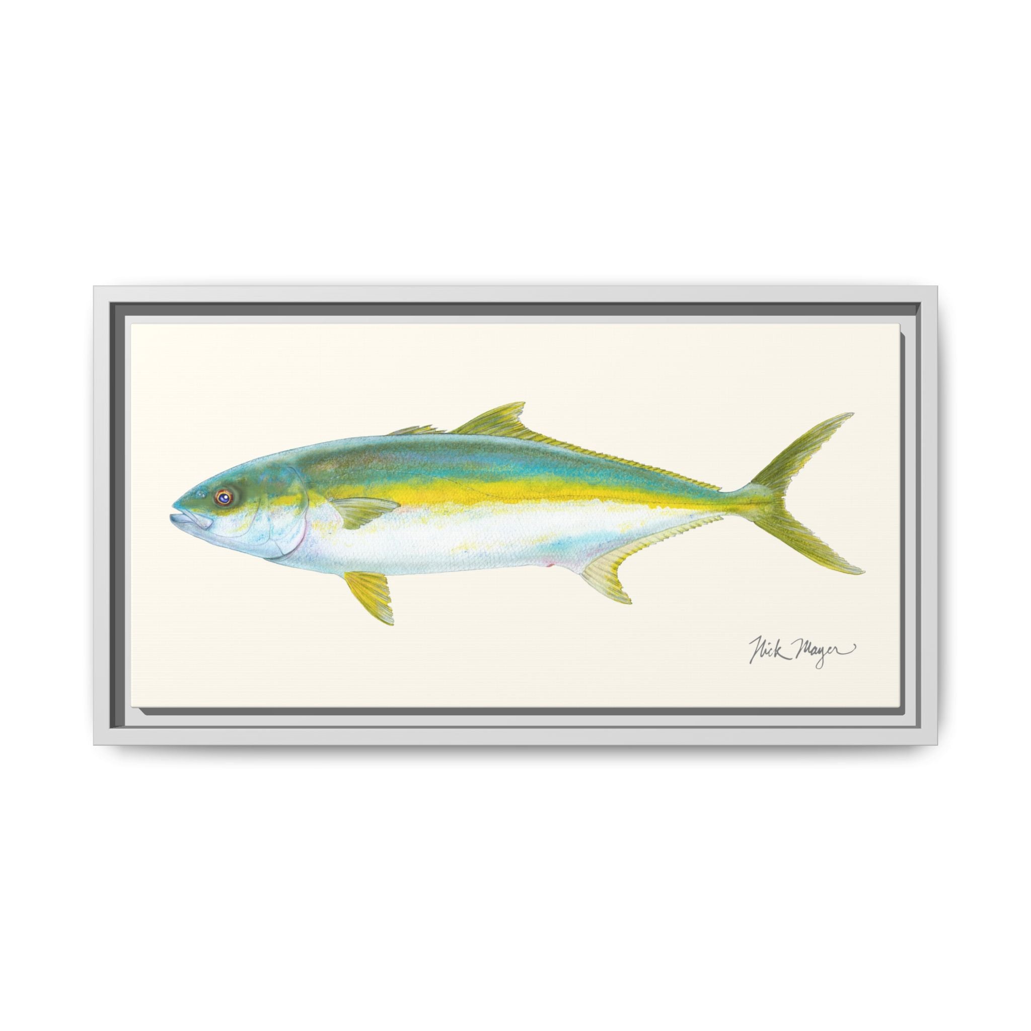California Yellowtail I Framed Canvas Print Printify