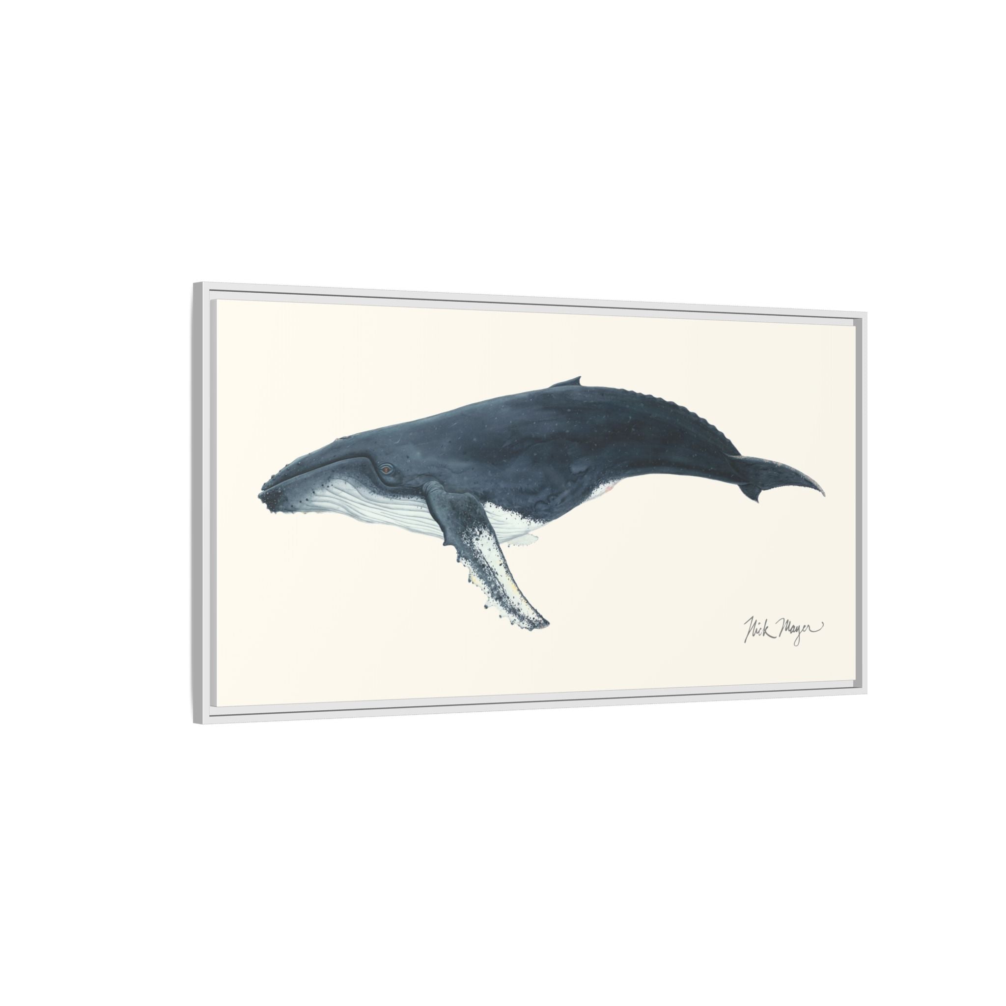 Humpback Whale Framed Canvas Print Printify