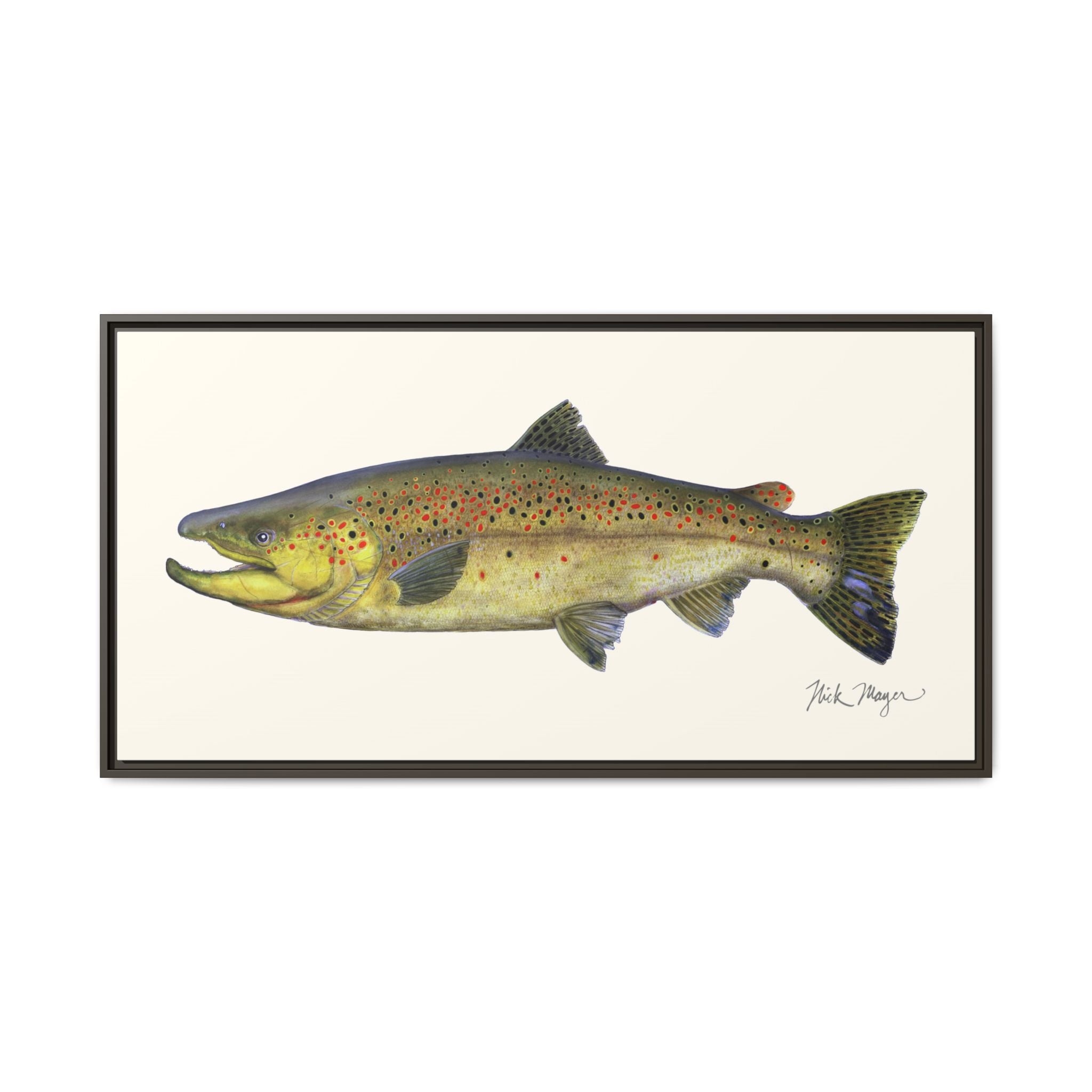 Brown Trout I Framed Canvas Print Printify