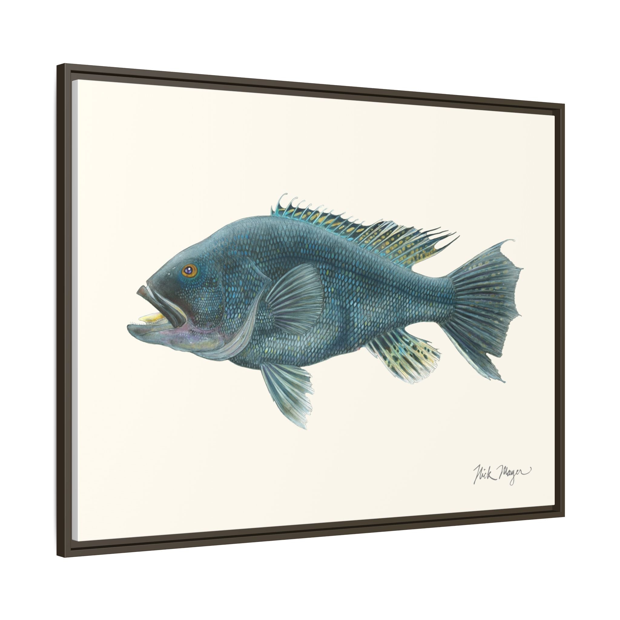 Black Sea Bass Framed Canvas Print Printify