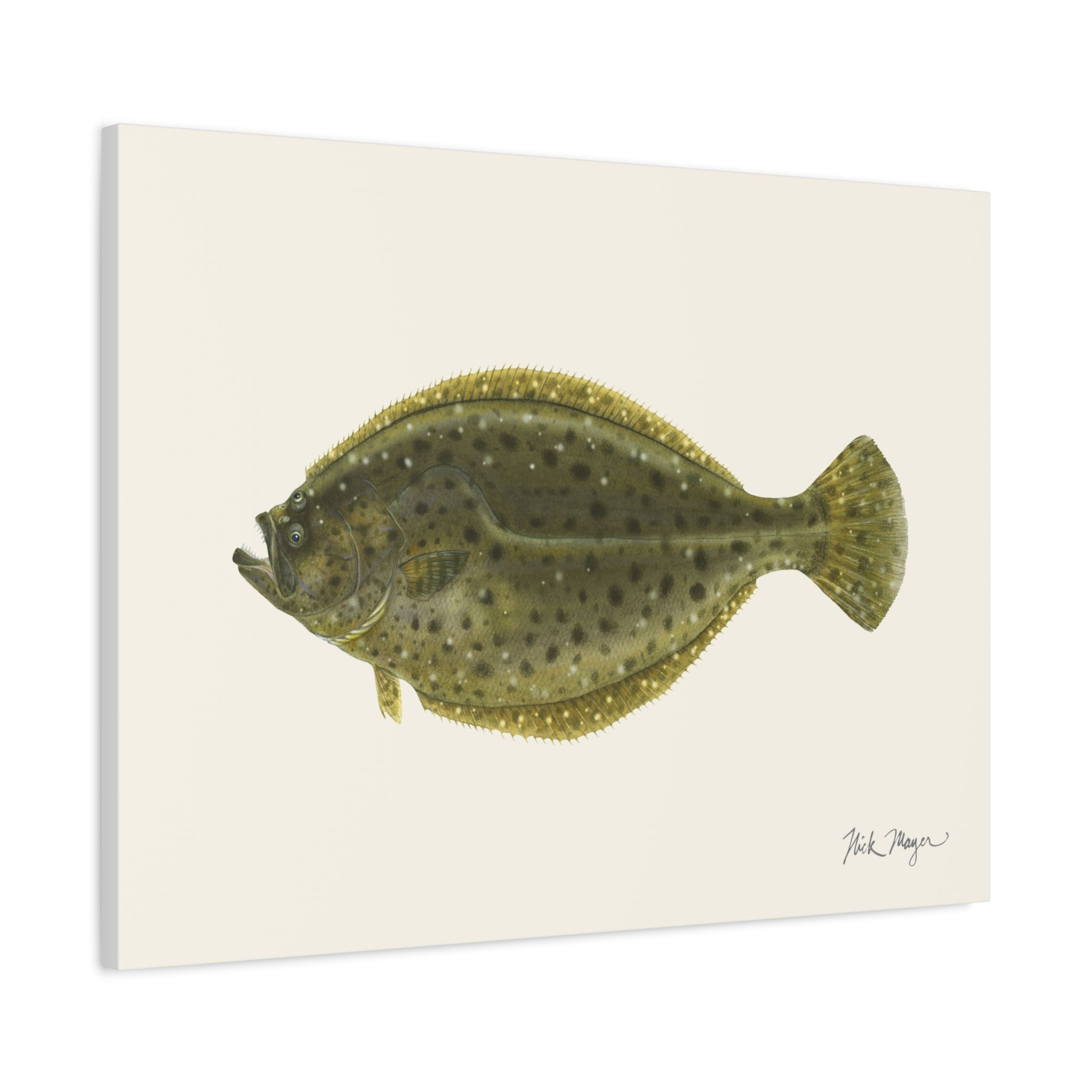 Fluke Canvas Print