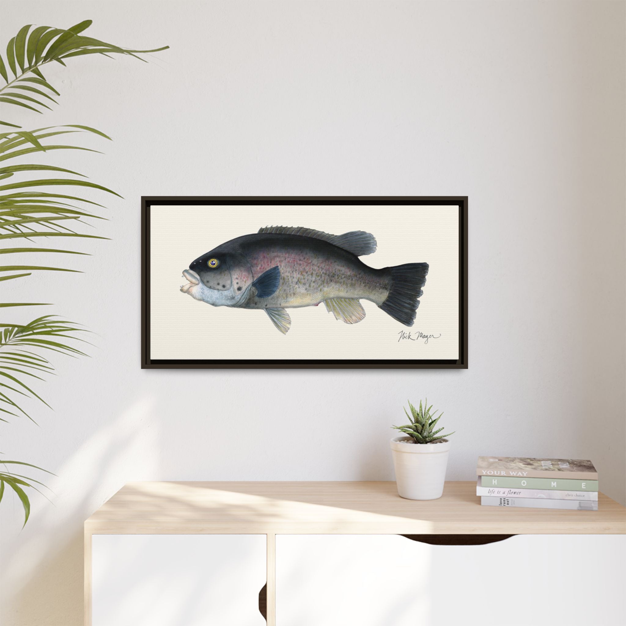 Tautog / Blackfish Framed Canvas Print Printify